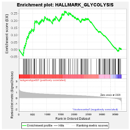 Viruses 16 01052 i008
