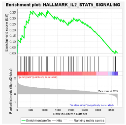Viruses 16 01052 i011