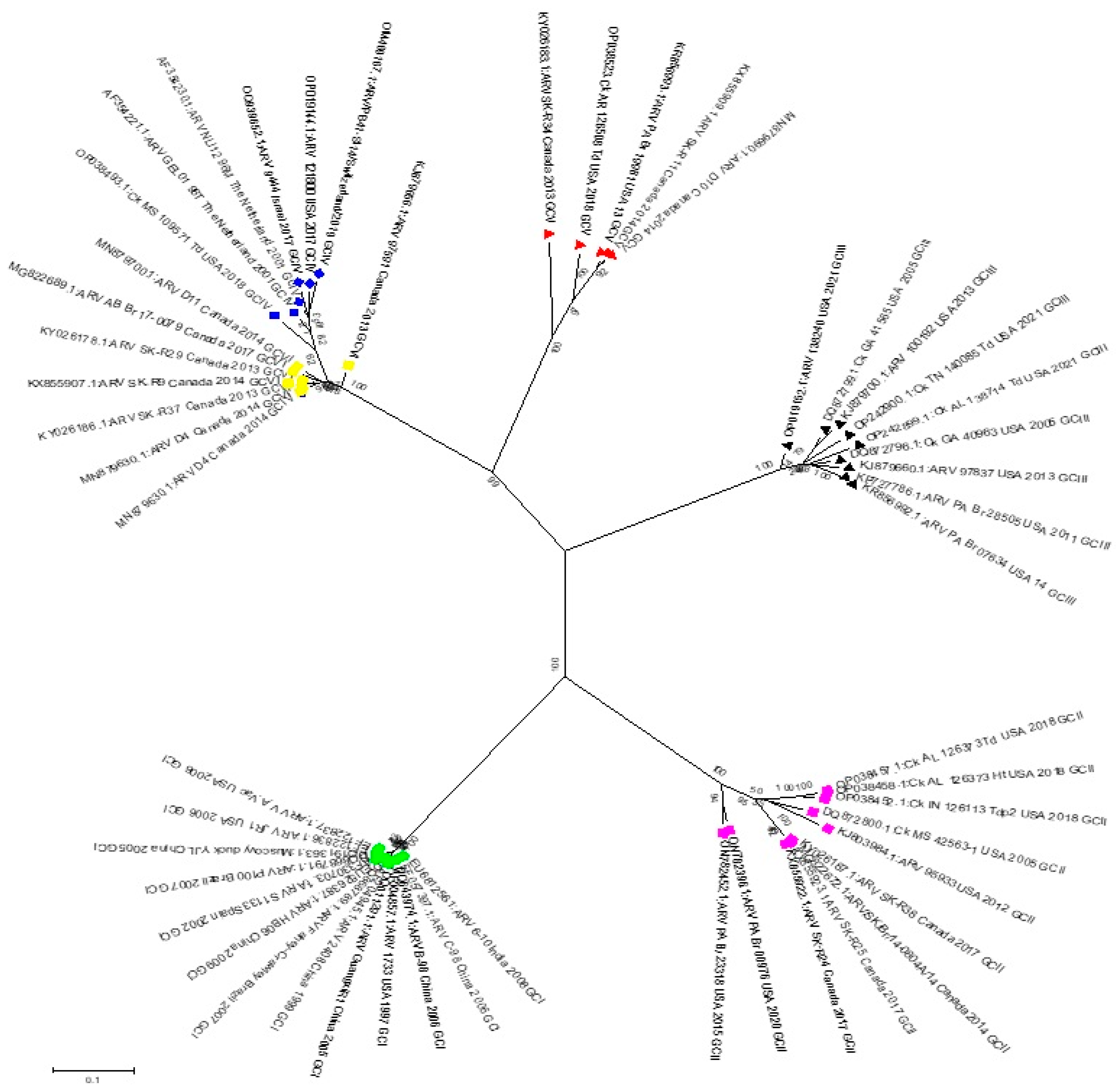 Viruses 16 01056 g002