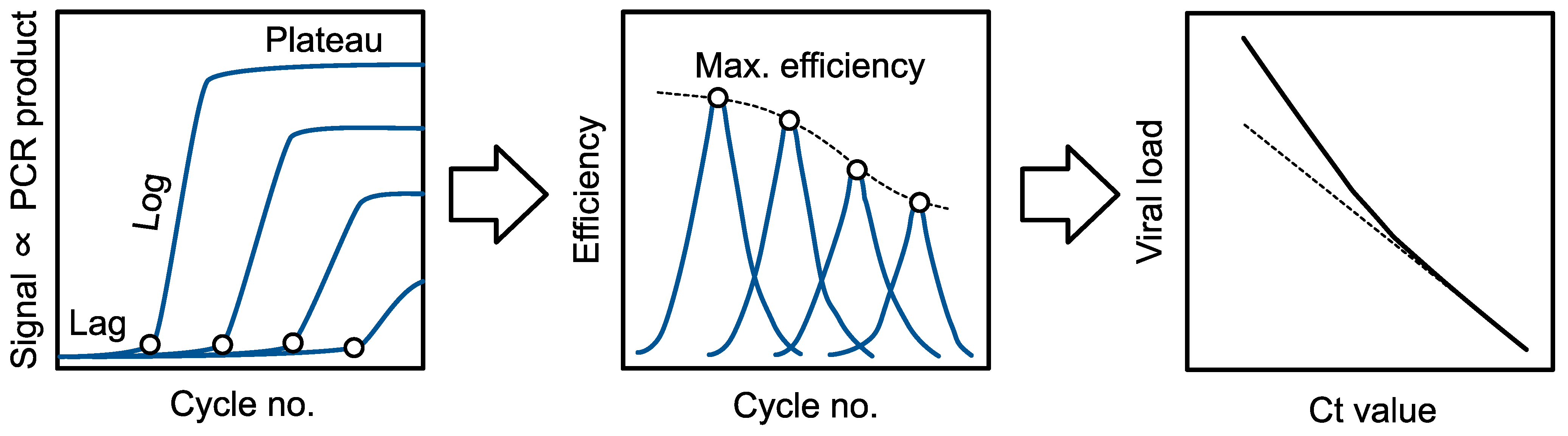 Viruses 16 01057 g002
