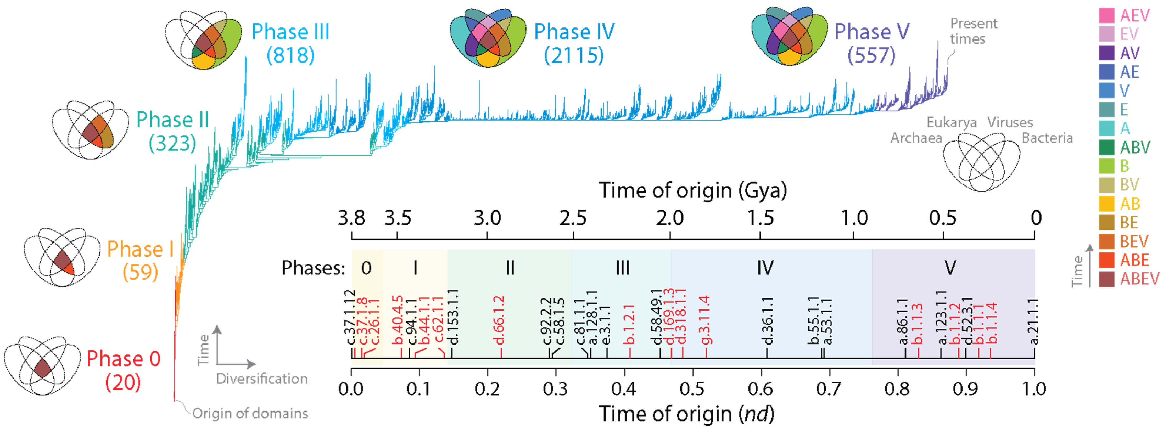 Viruses 16 01061 g001