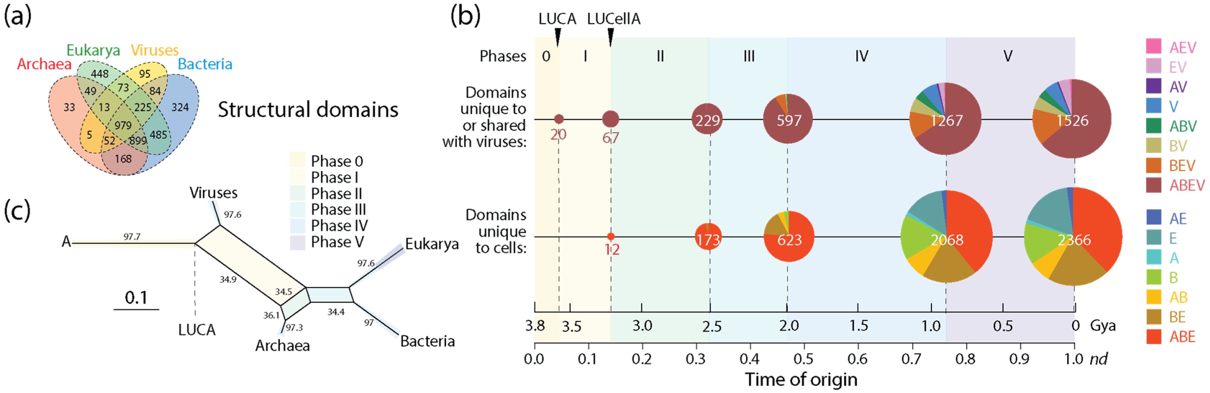 Viruses 16 01061 g004