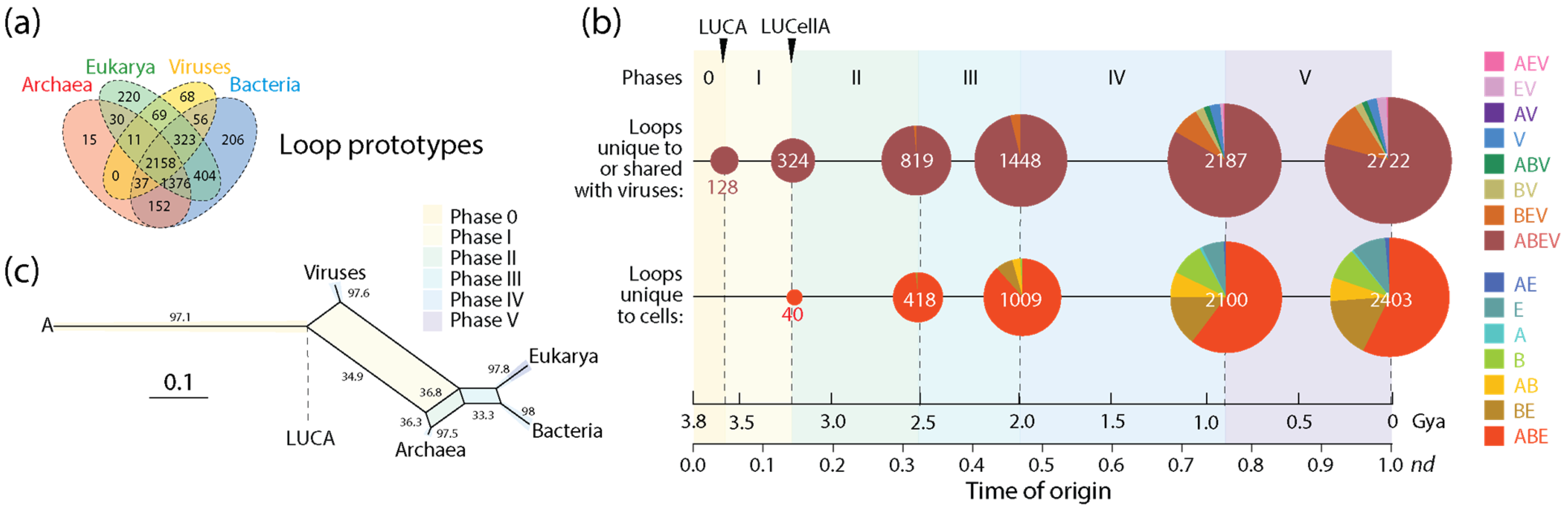 Viruses 16 01061 g005