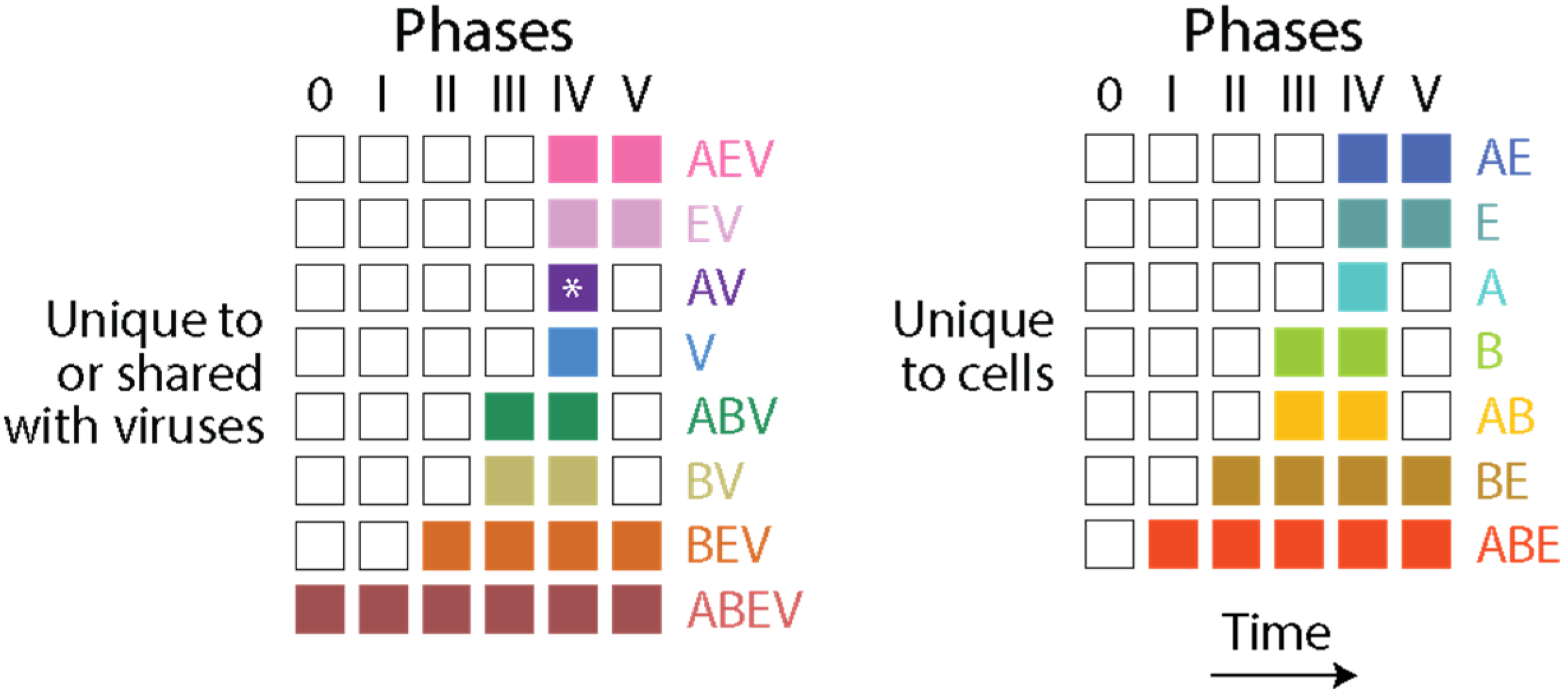 Viruses 16 01061 g006