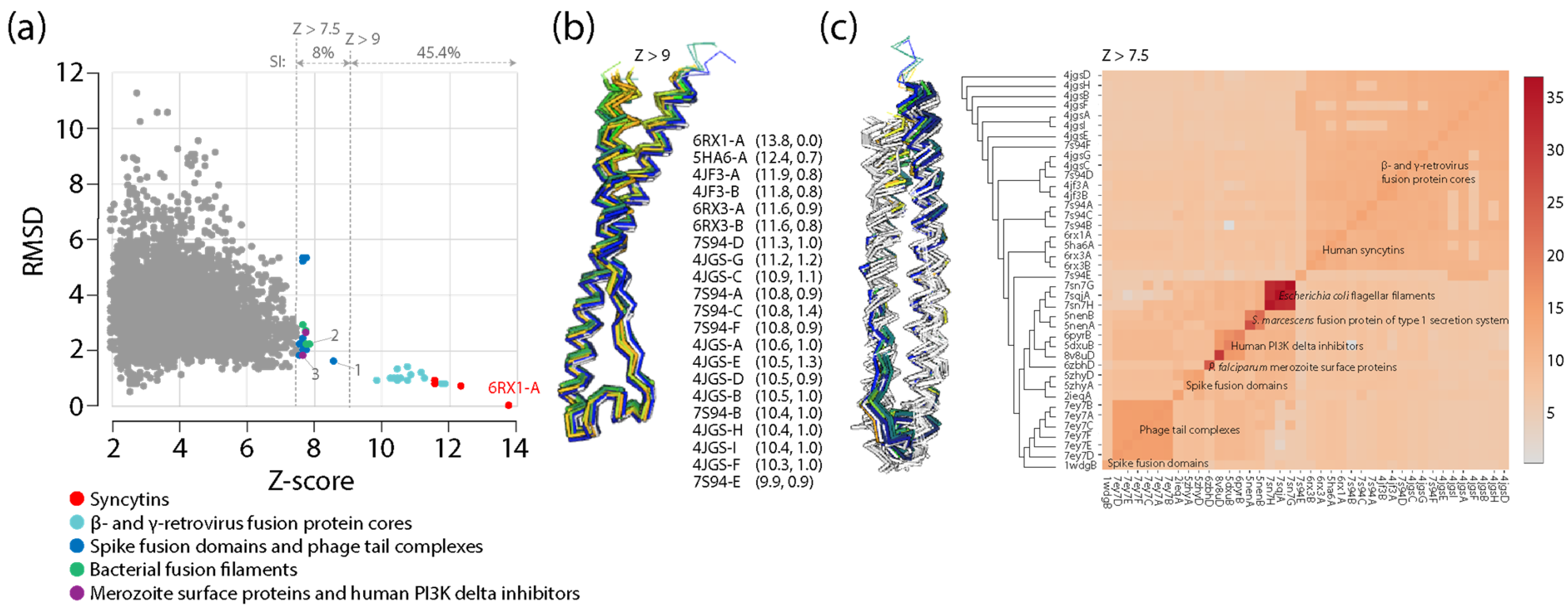 Viruses 16 01061 g0a2