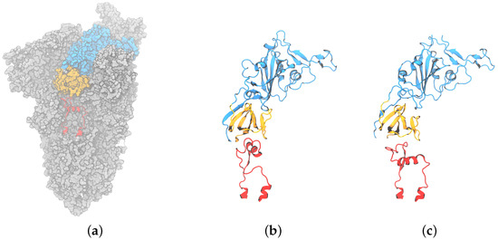 Viruses 16 01066 g001