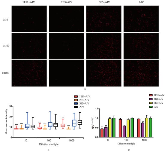 Viruses 16 01069 g004