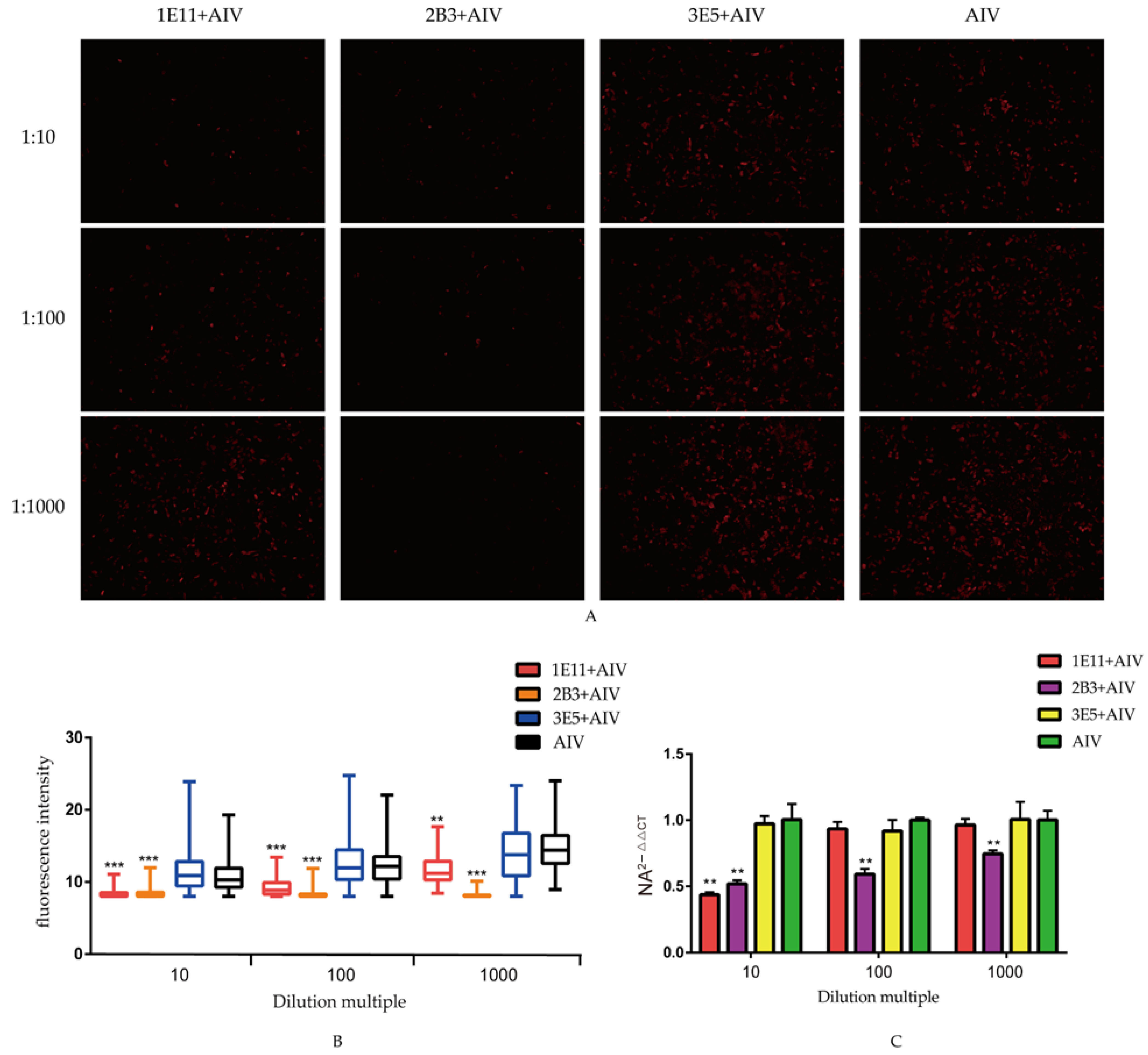 Viruses 16 01069 g004
