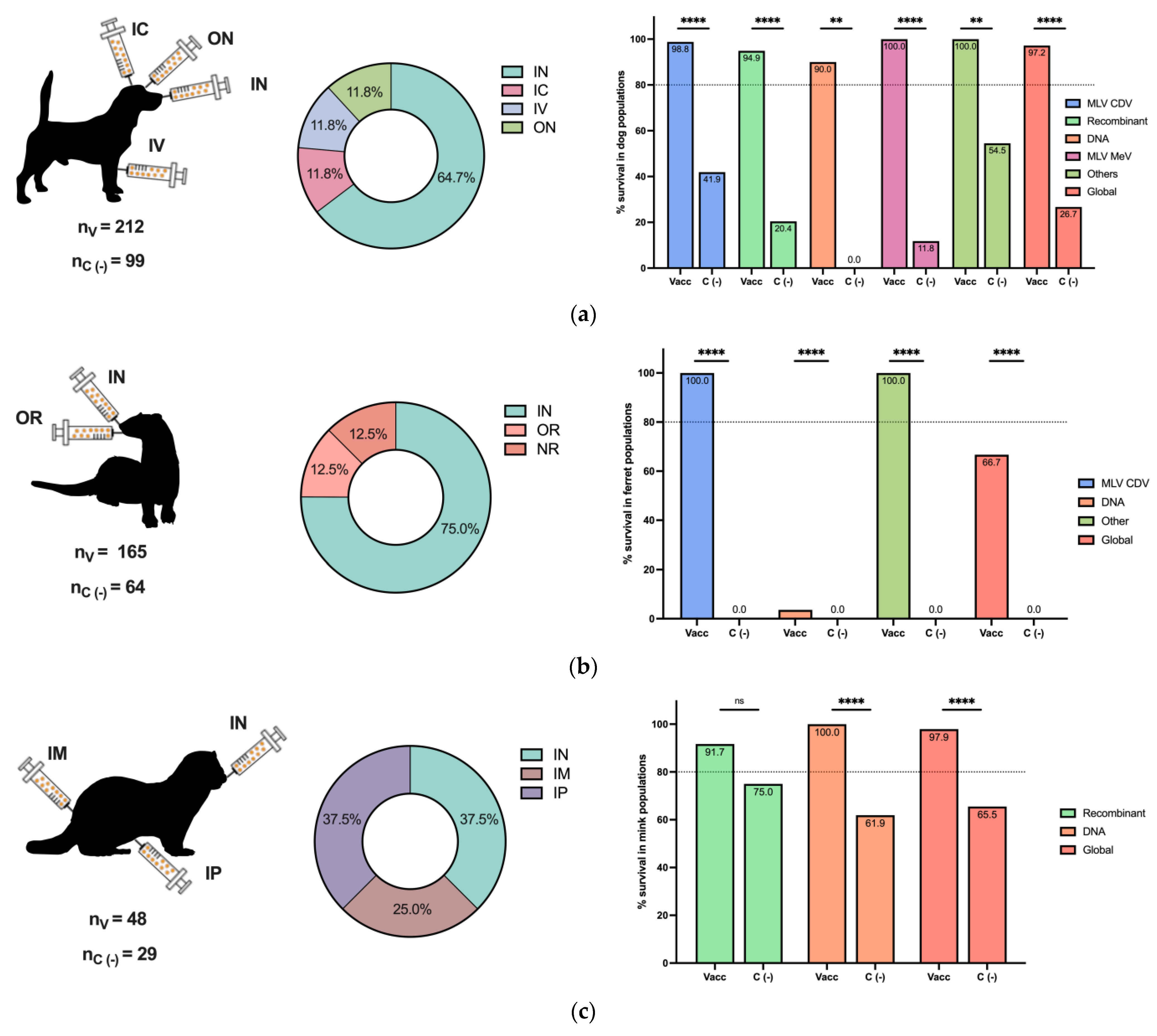 Viruses 16 01078 g003a Viruses 16 01078 g003a