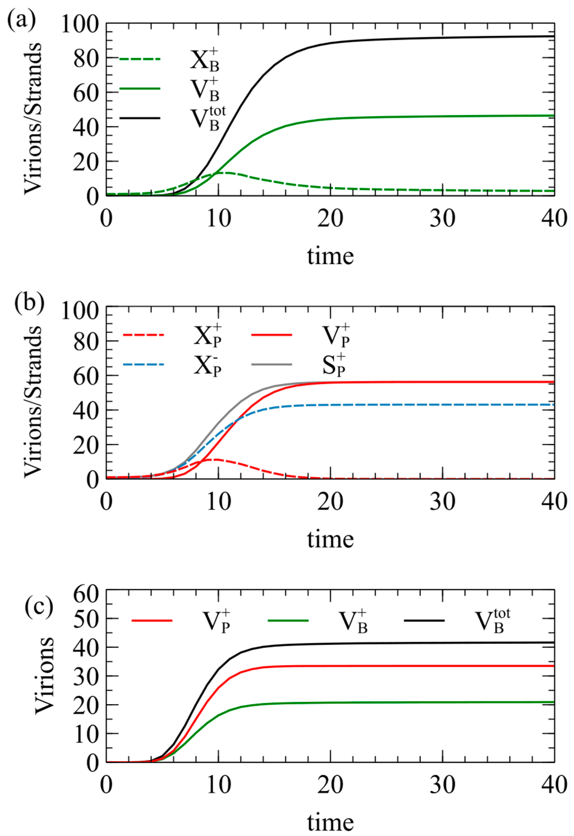 Viruses 16 01081 g002