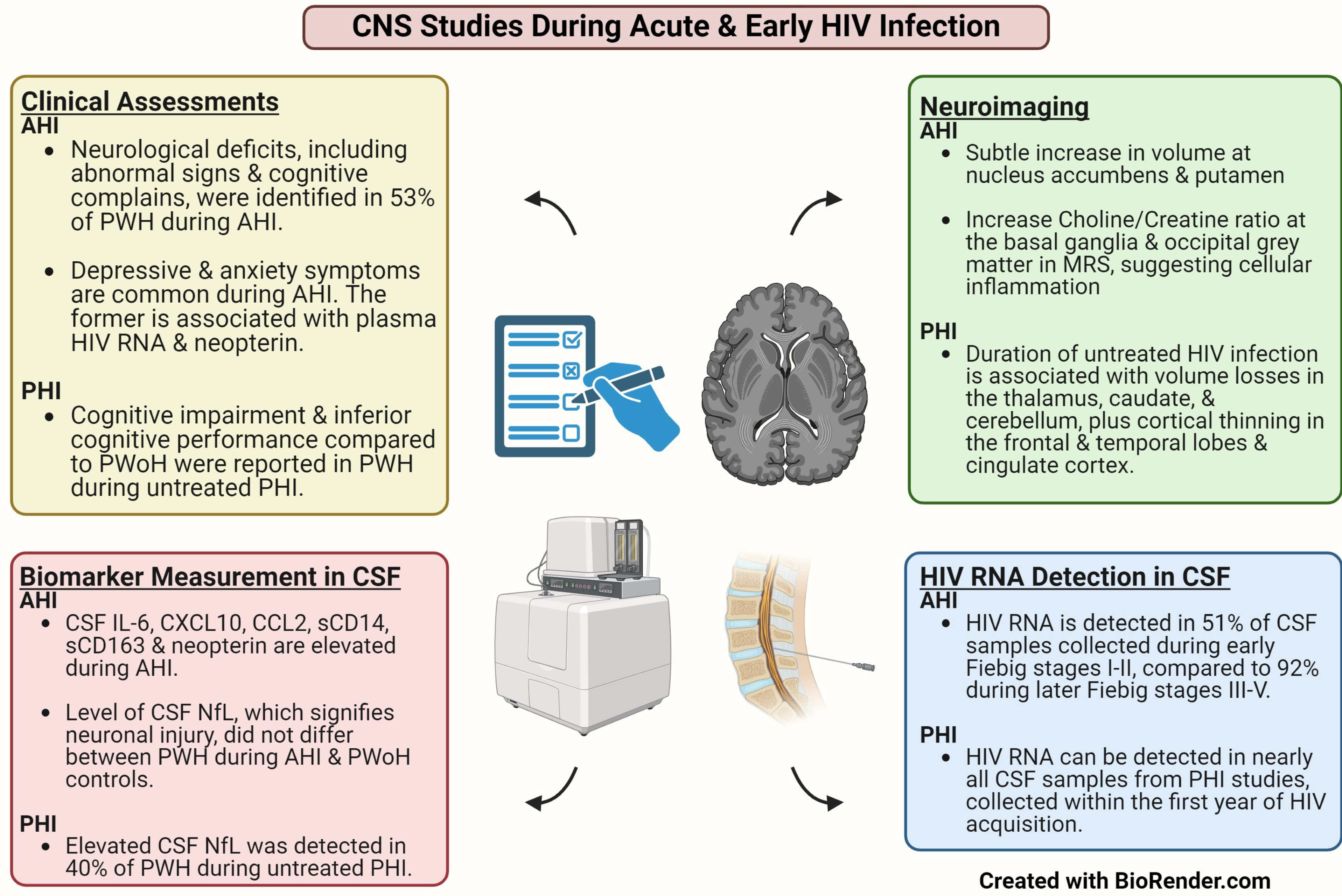 Viruses 16 01082 g001