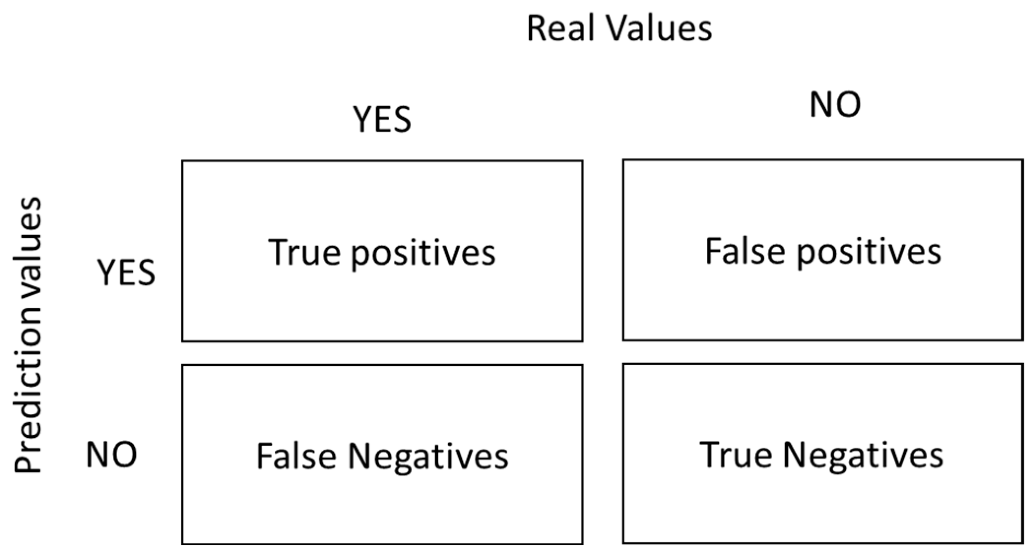 Viruses 16 01088 g001