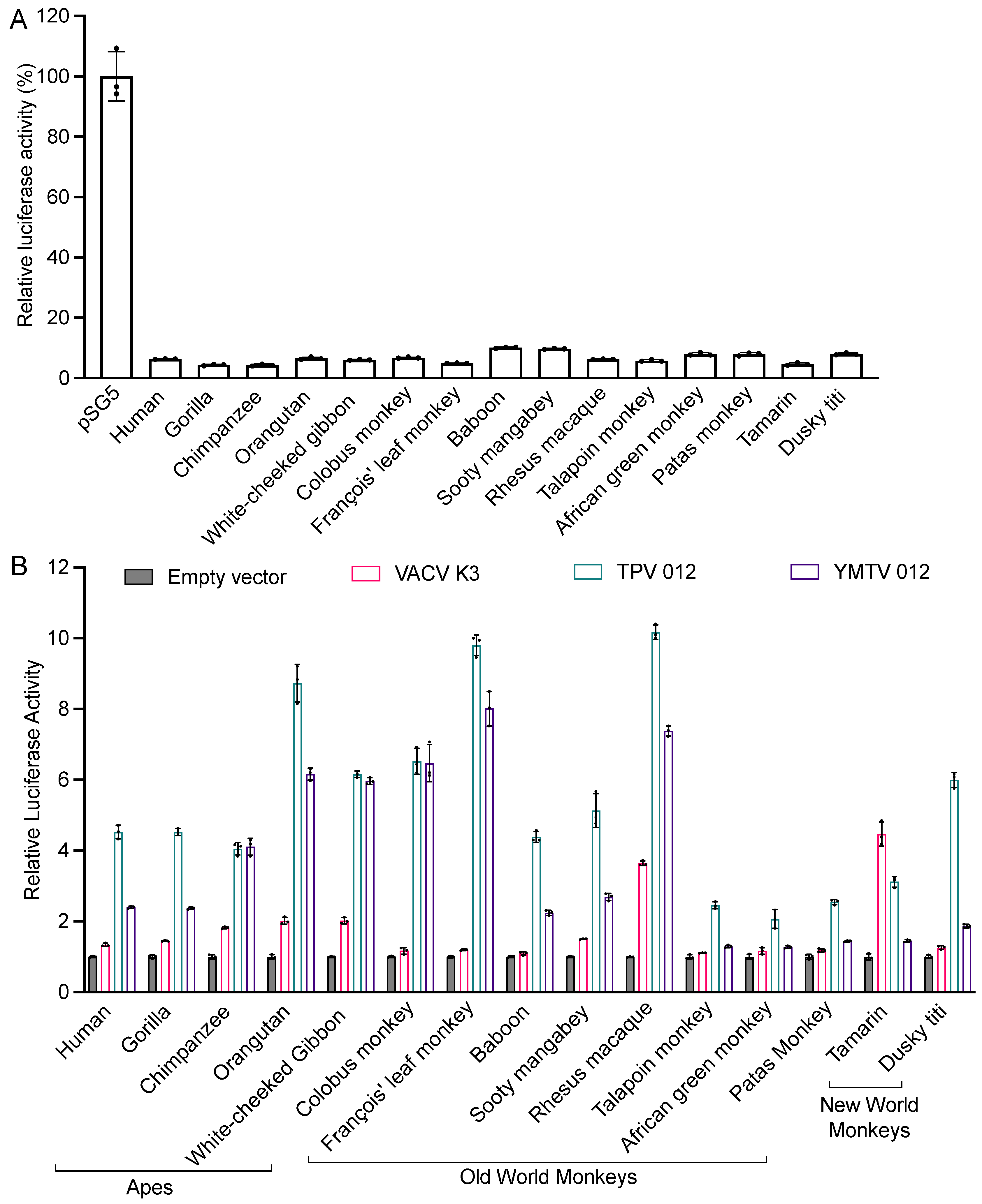 Viruses 16 01095 g002 Viruses 16 01095 g002