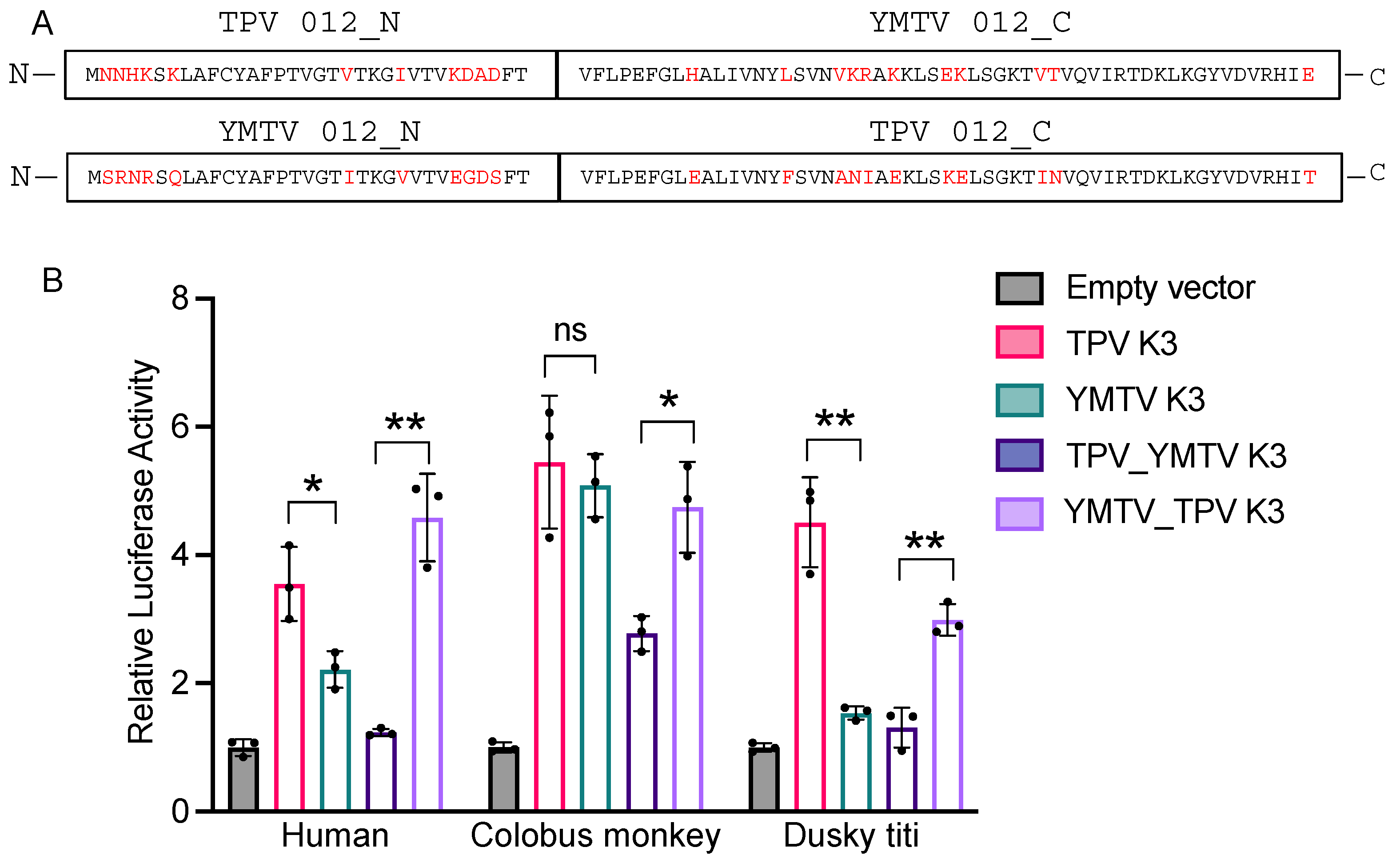 Viruses 16 01095 g004 Viruses 16 01095 g004