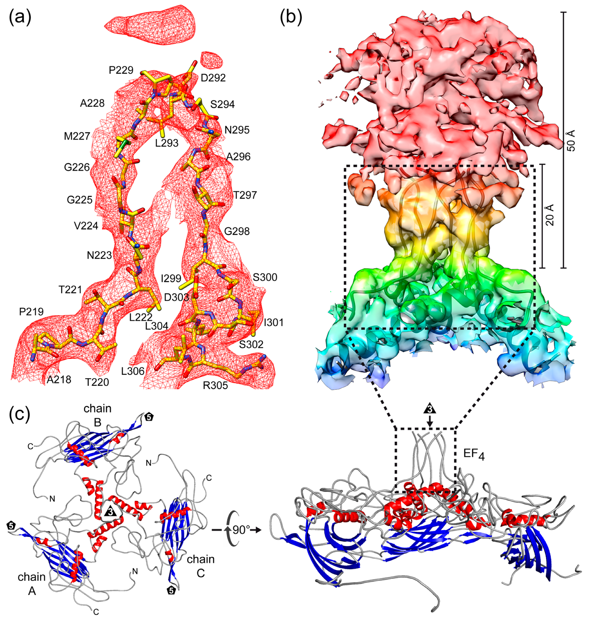 Viruses 16 01103 g005