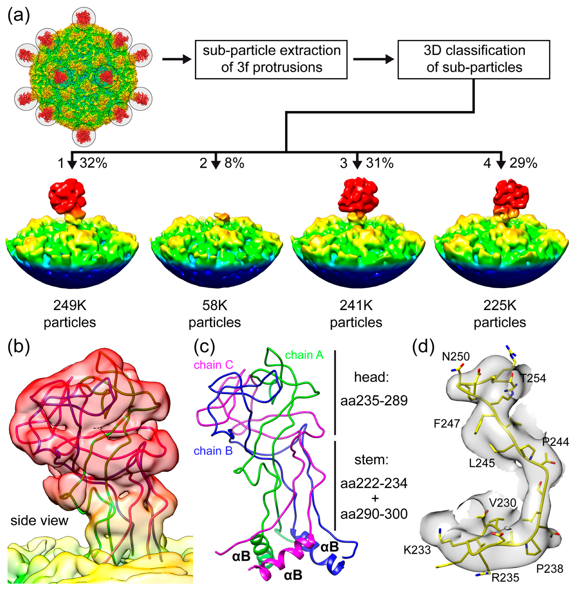 Viruses 16 01103 g006