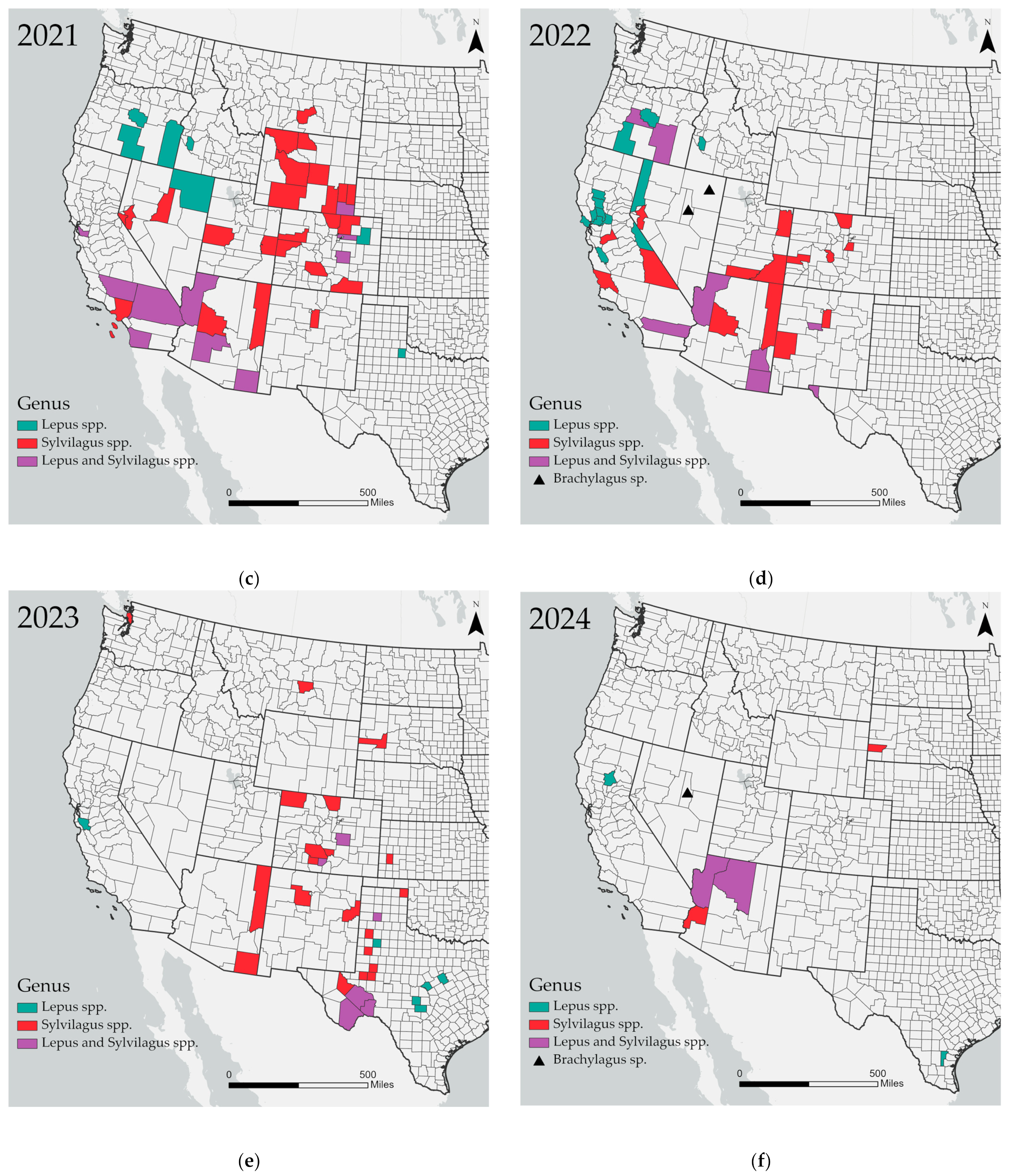 Viruses 16 01106 g001b