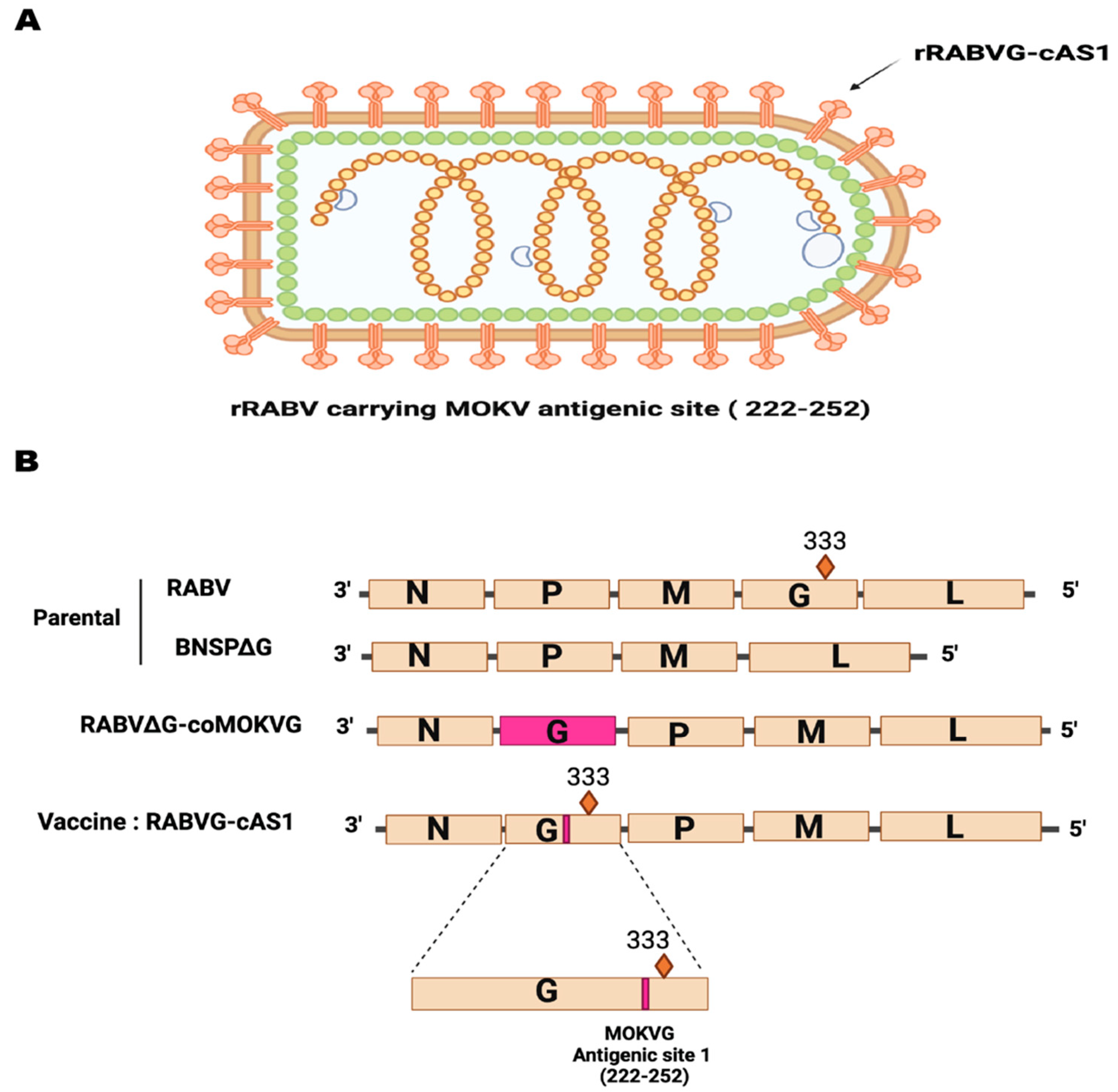 Viruses 16 01107 g002
