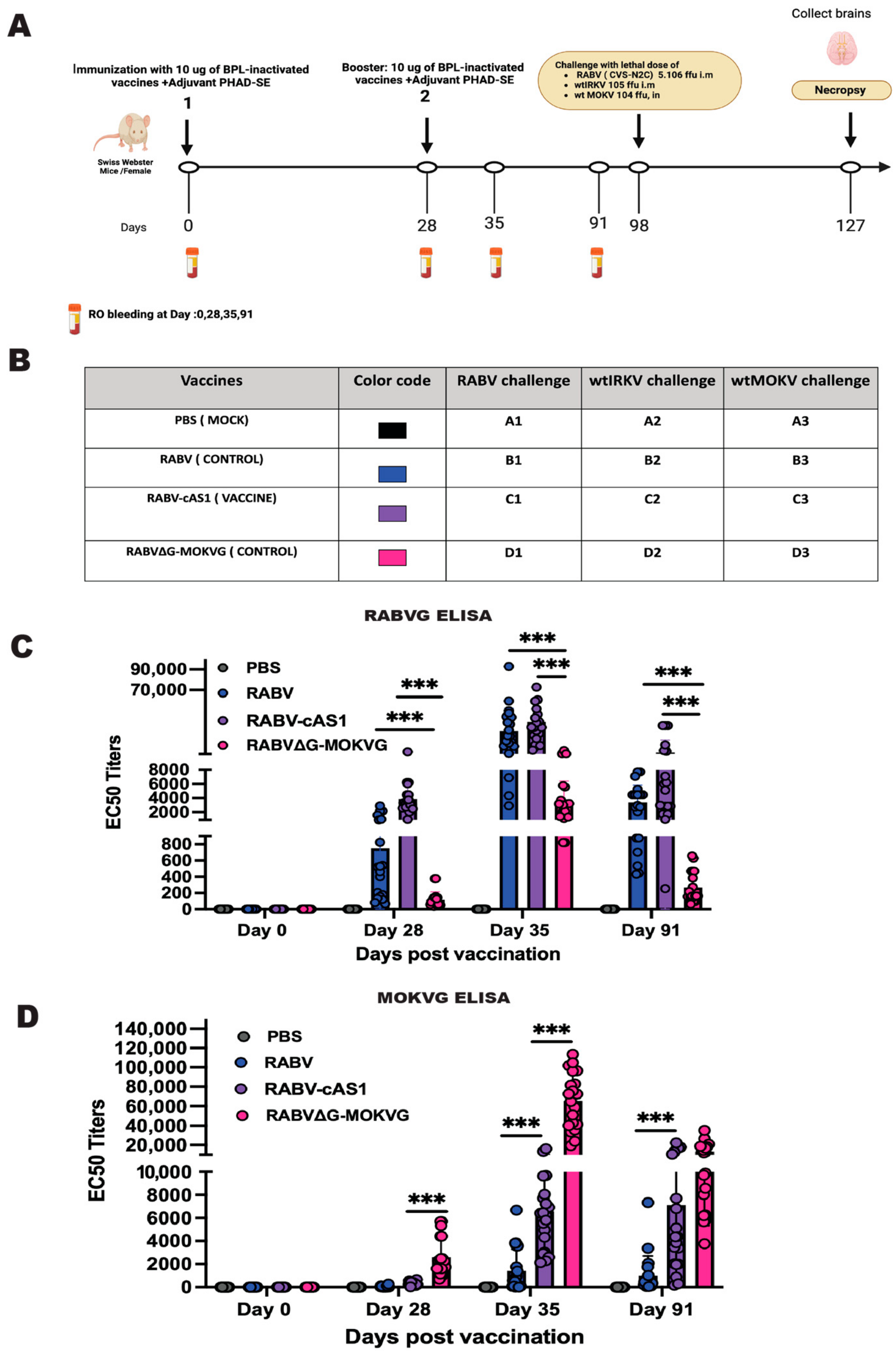 Viruses 16 01107 g004