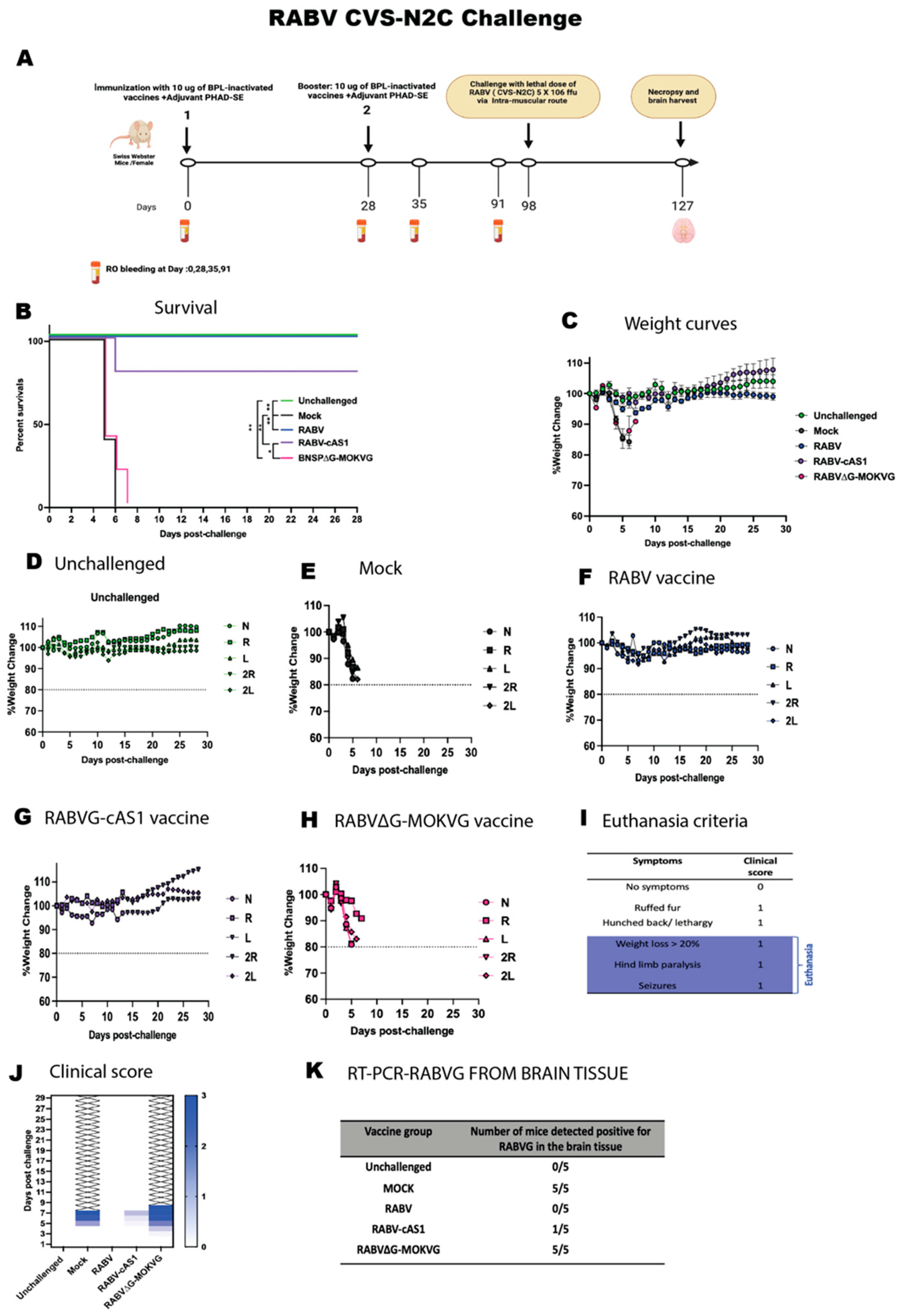 Viruses 16 01107 g006