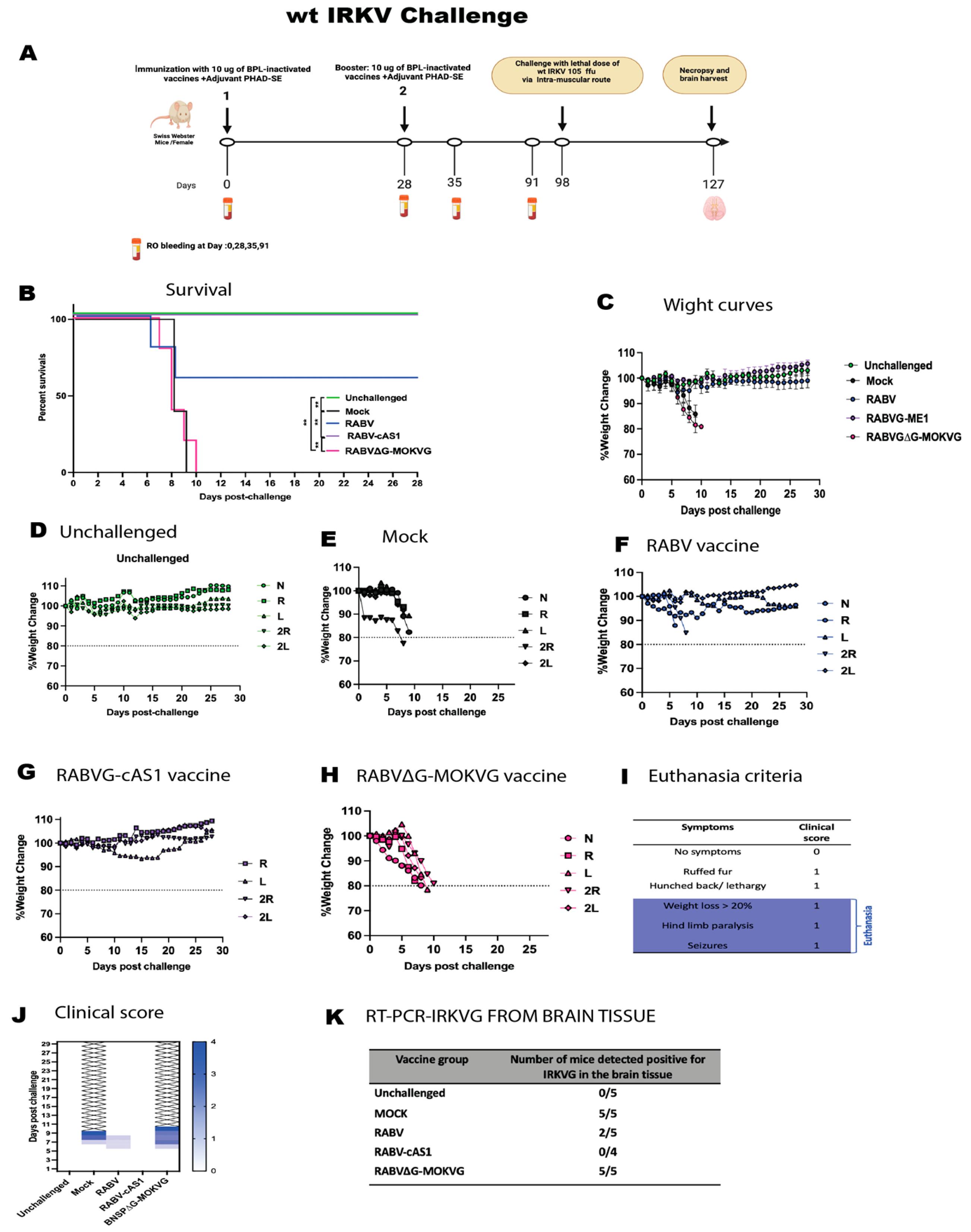 Viruses 16 01107 g007