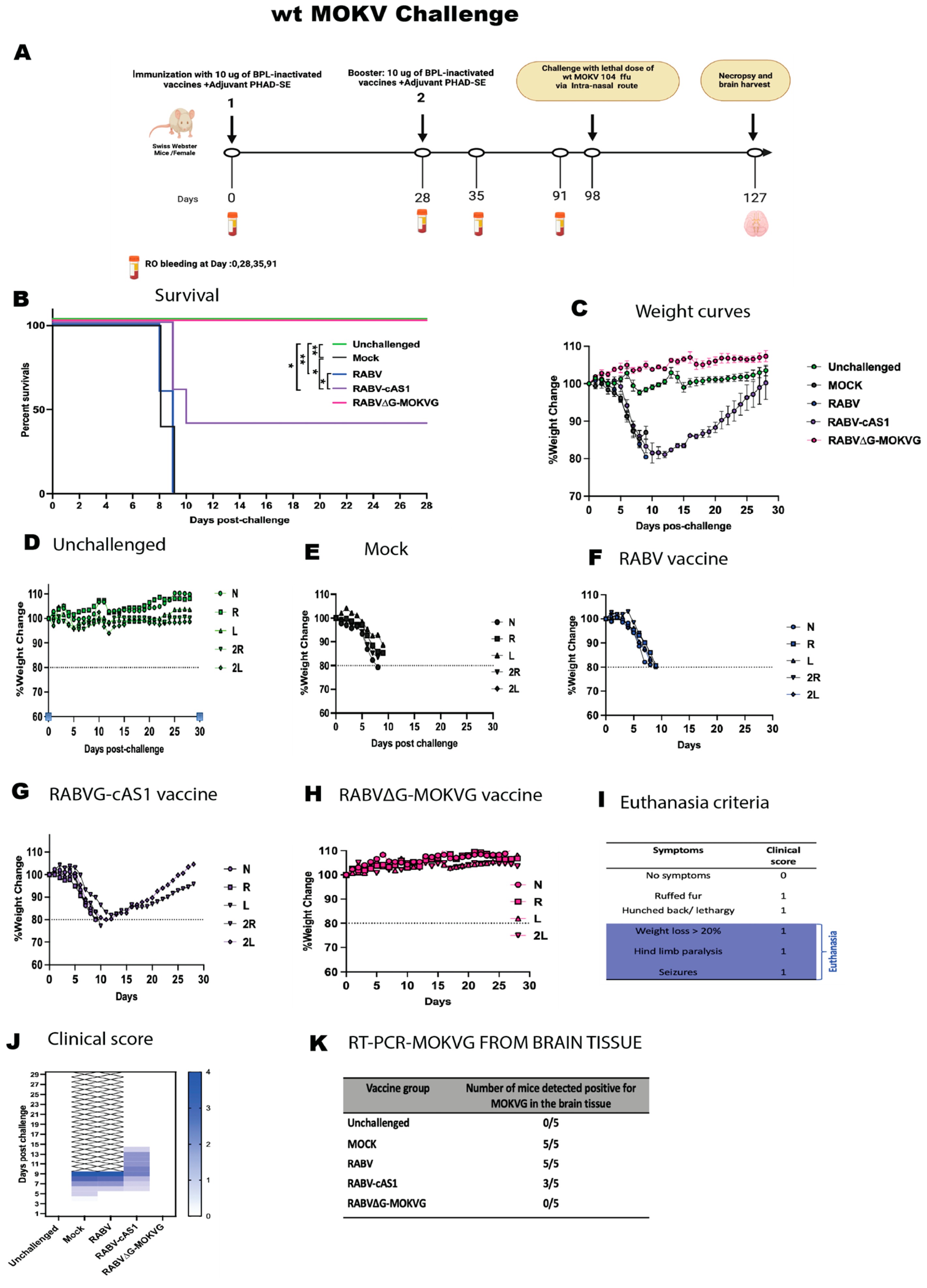 Viruses 16 01107 g008
