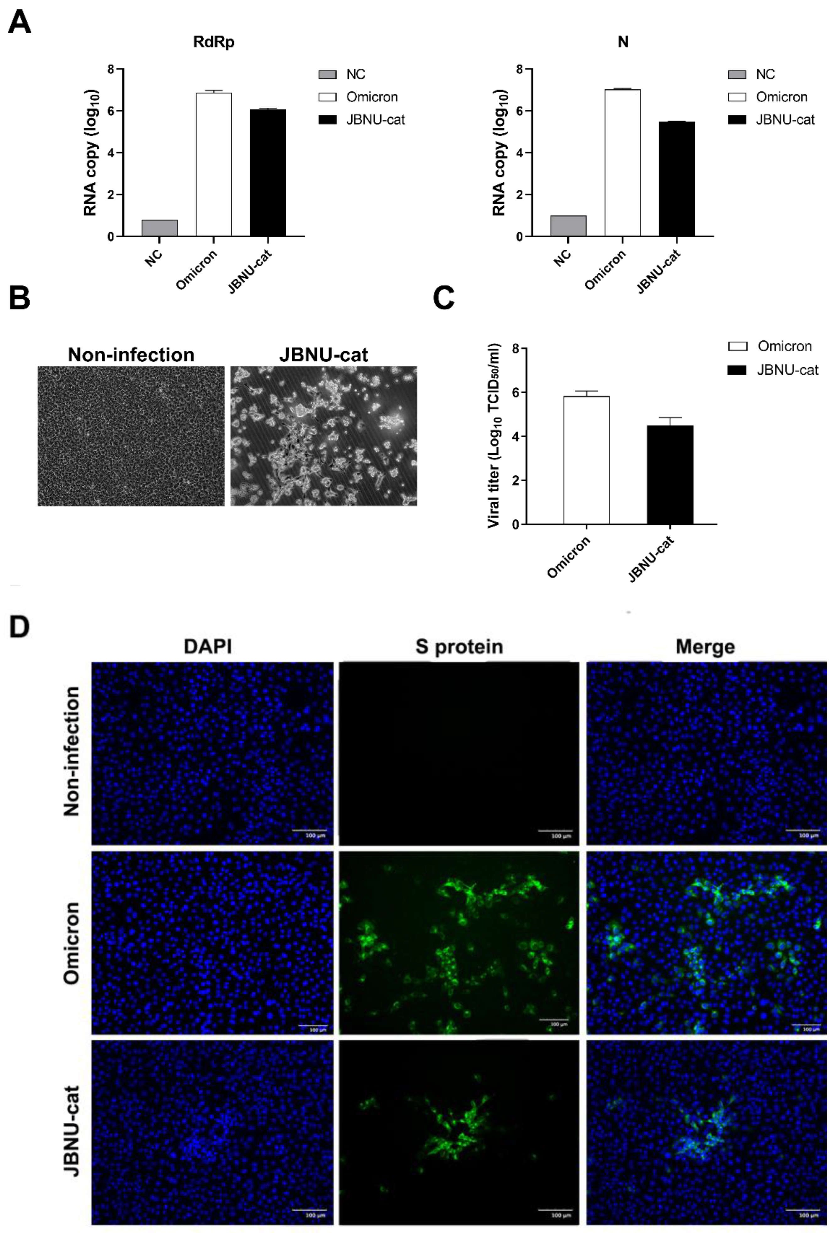 Viruses 16 01113 g001