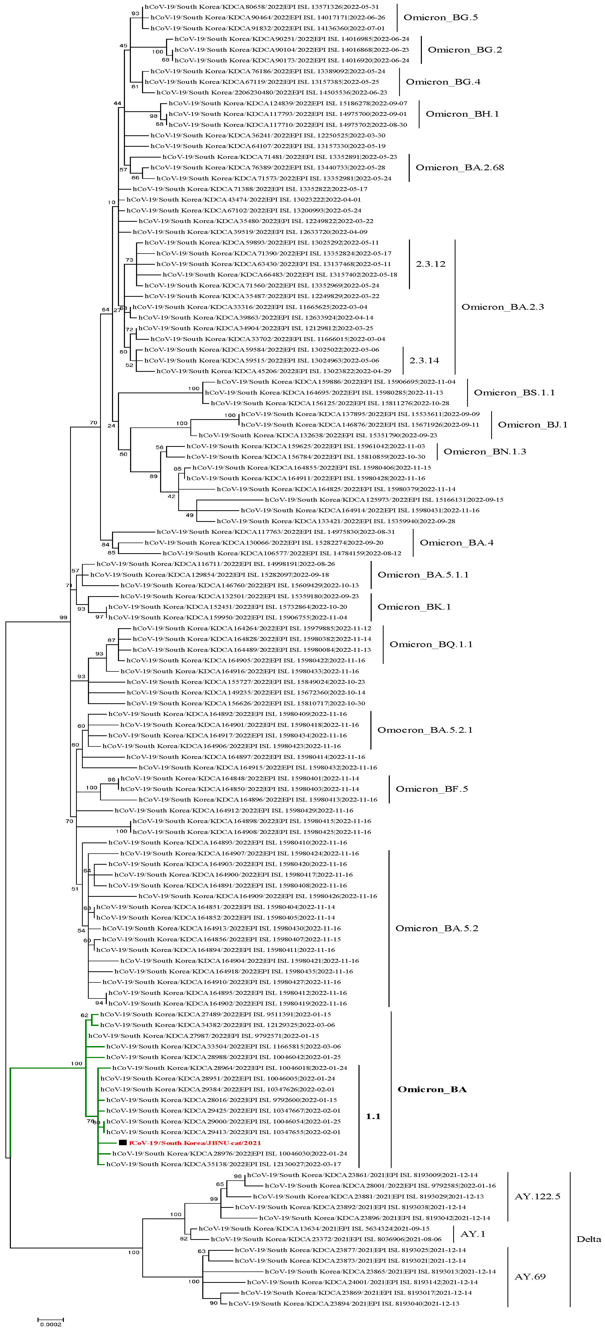 Viruses 16 01113 g002