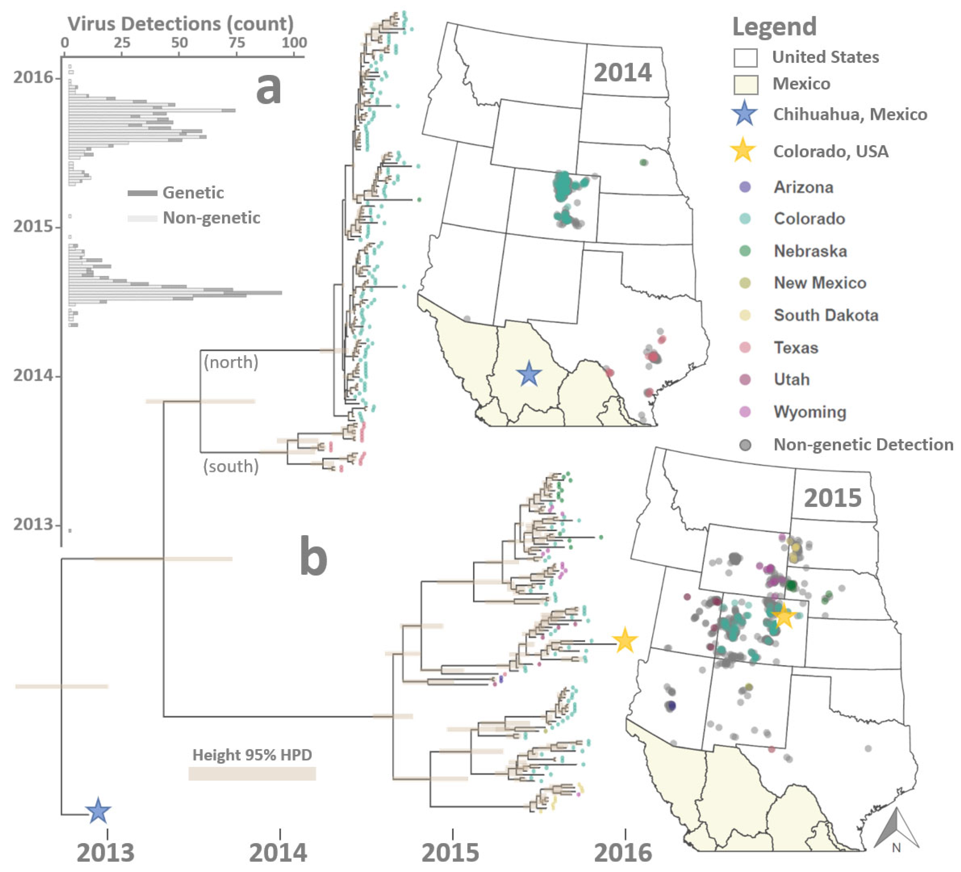 Viruses 16 01118 g002
