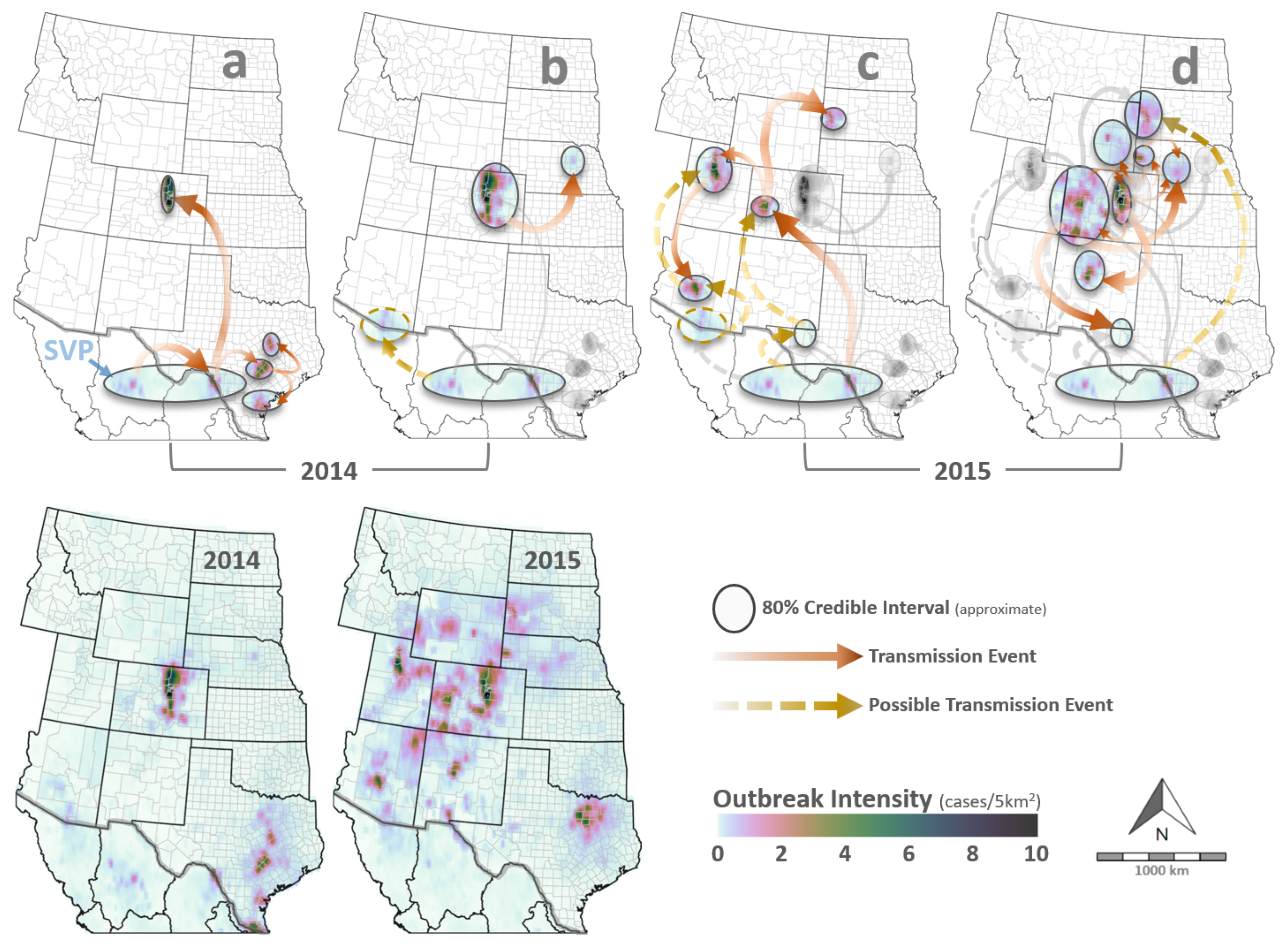 Viruses 16 01118 g003