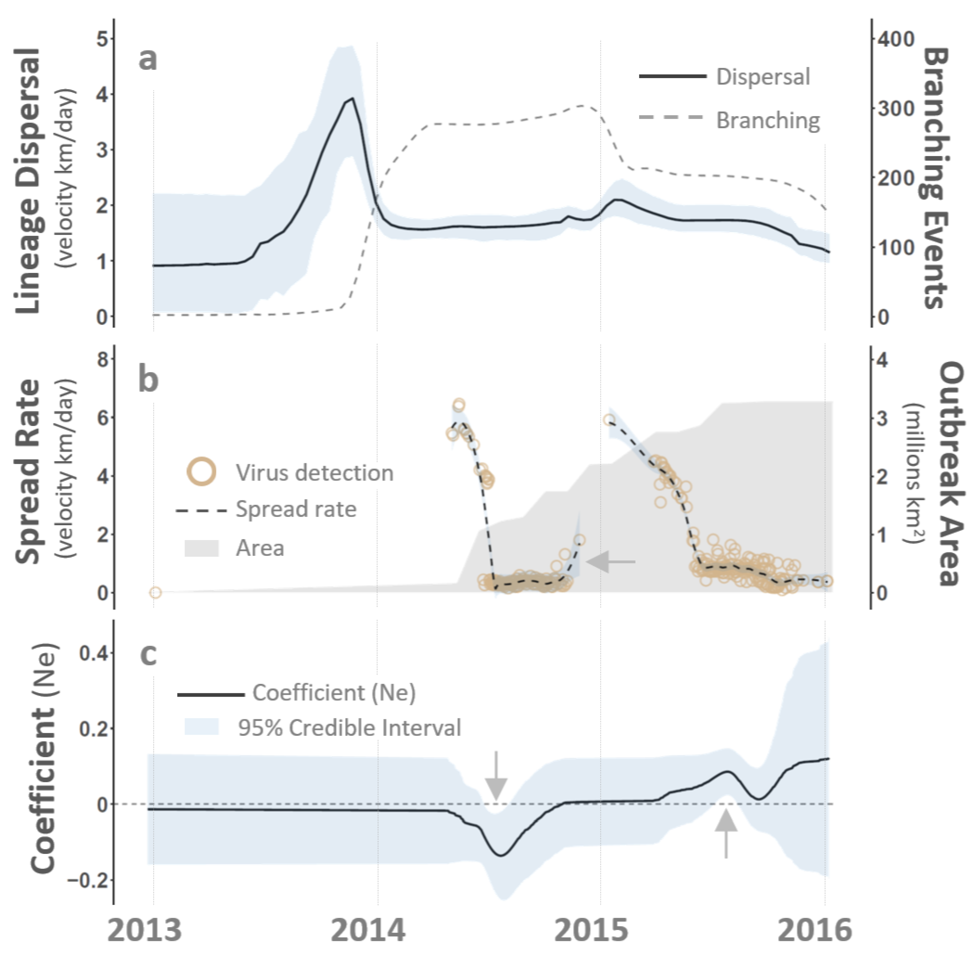 Viruses 16 01118 g004