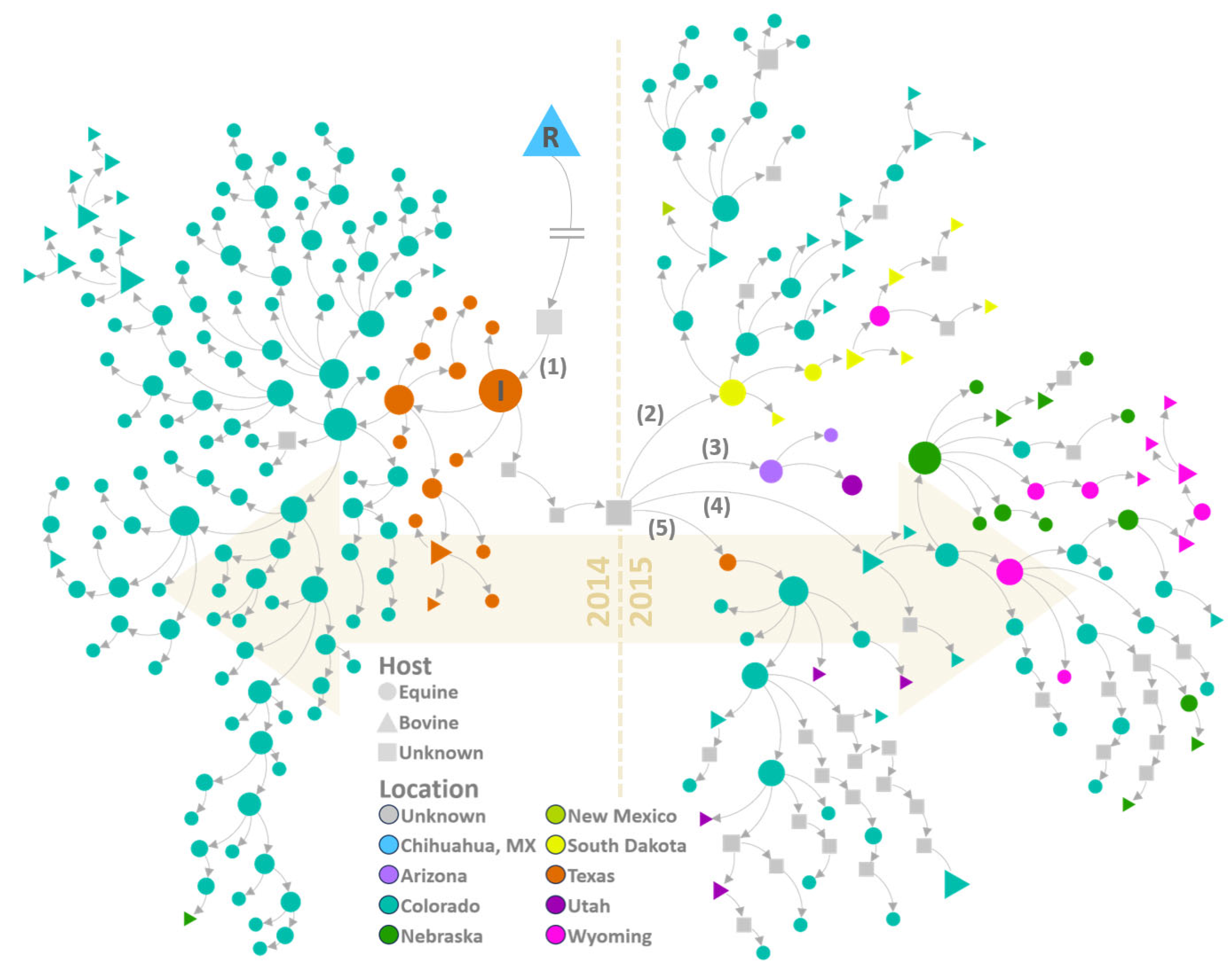 Viruses 16 01118 g006