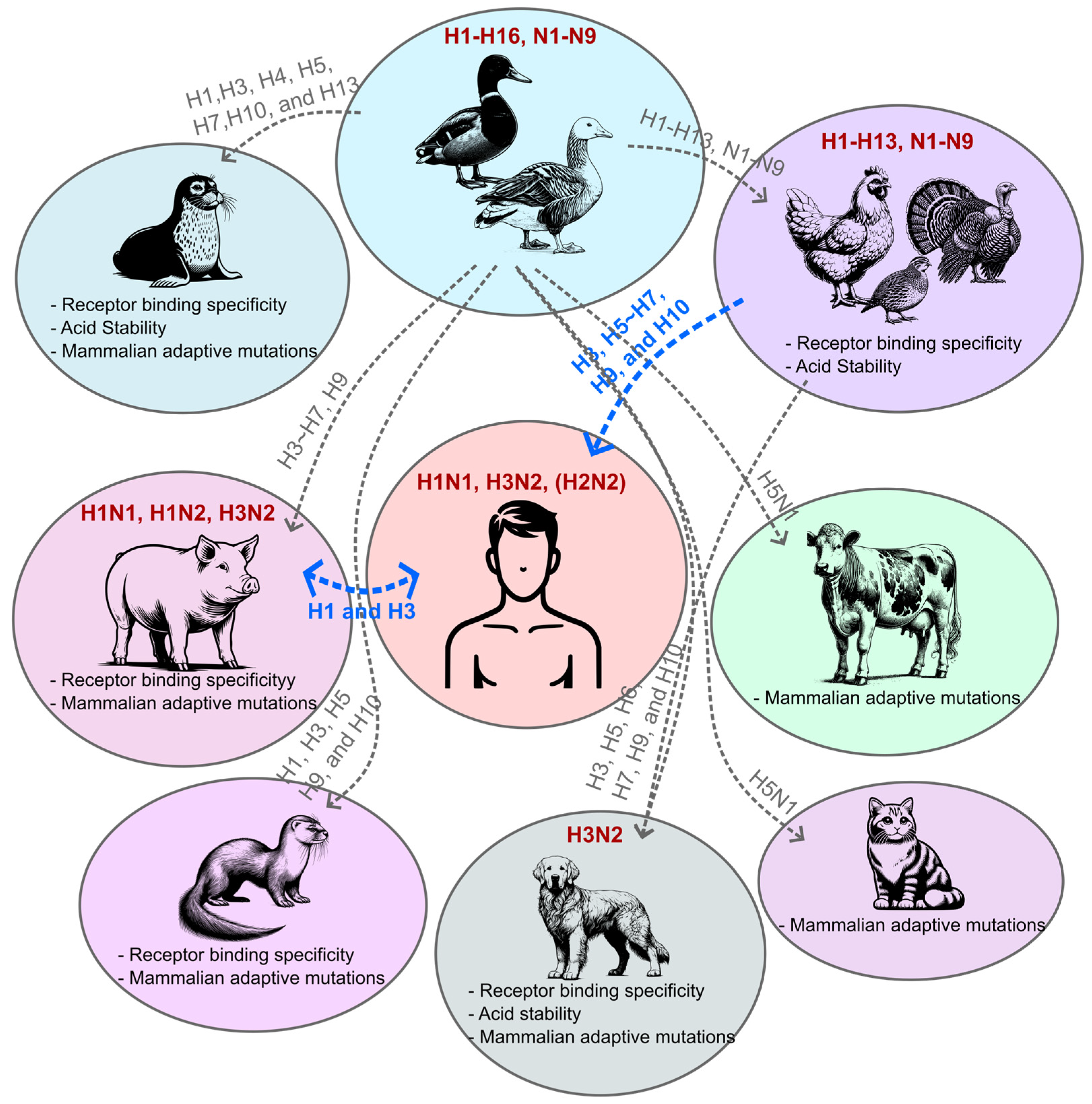 Viruses 16 01129 g001