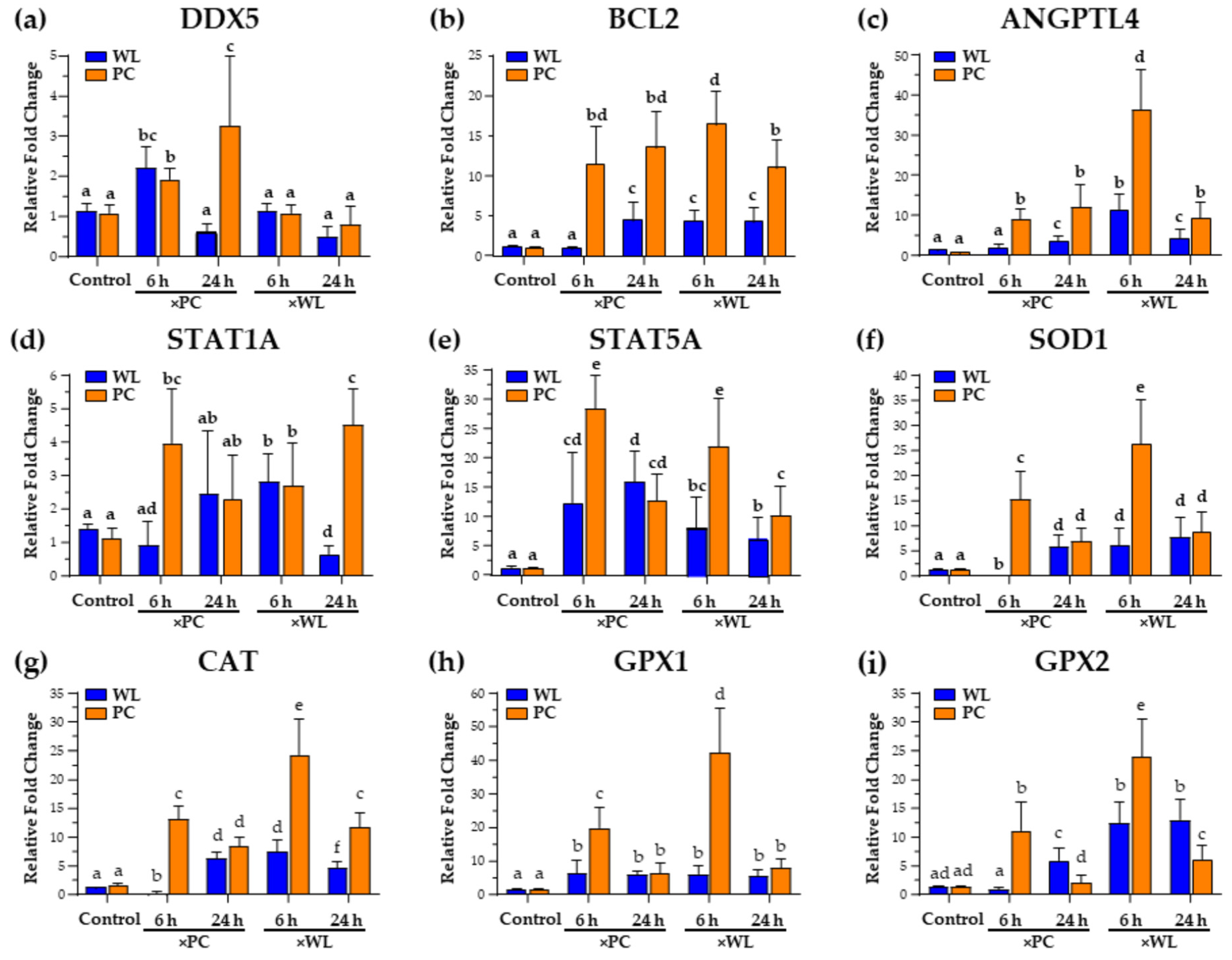 Viruses 16 01130 g003
