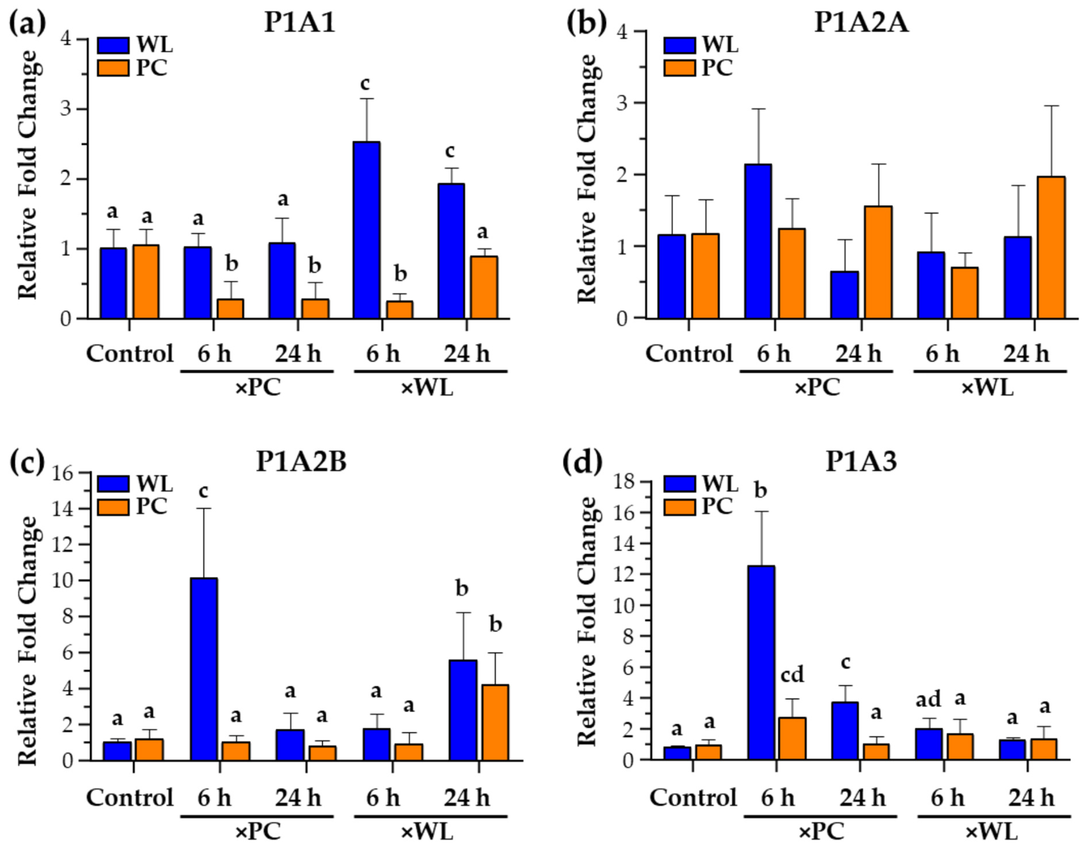 Viruses 16 01130 g004