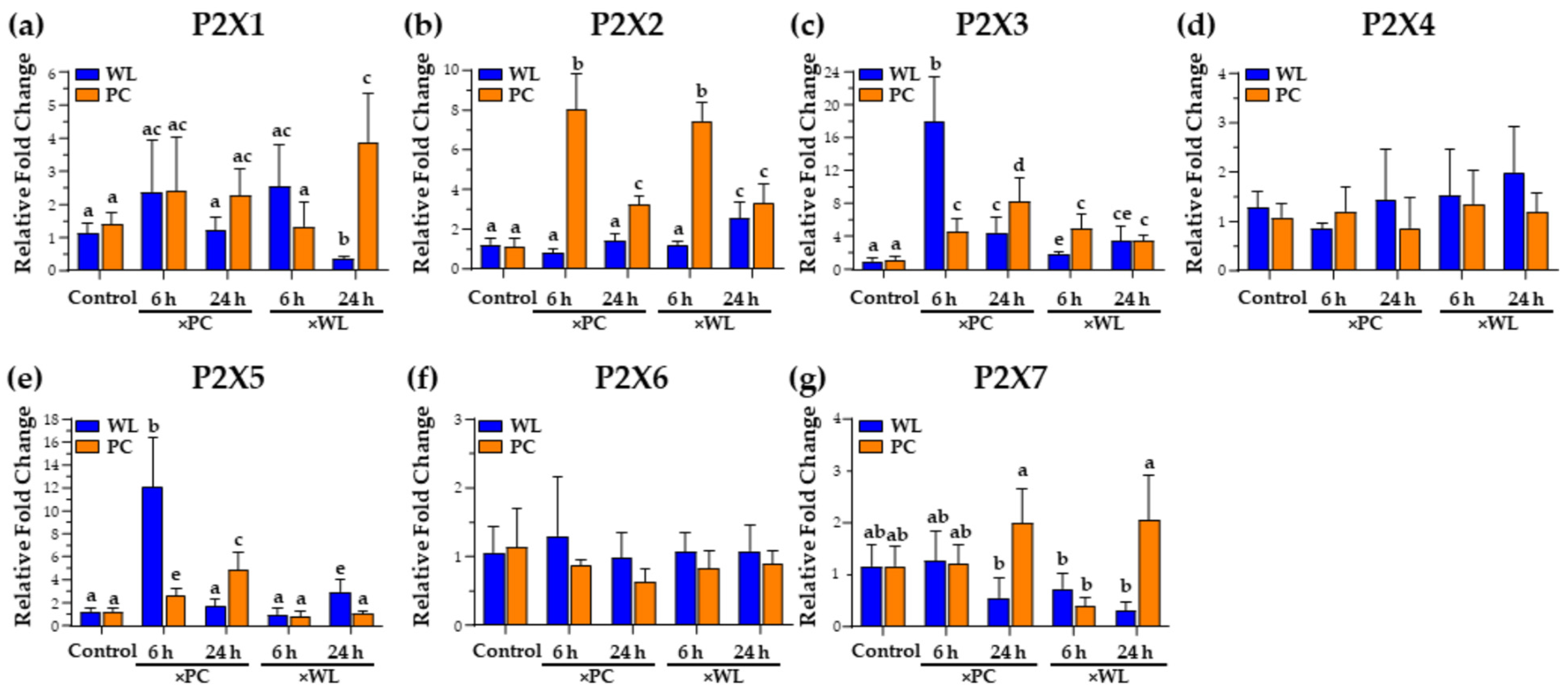 Viruses 16 01130 g005