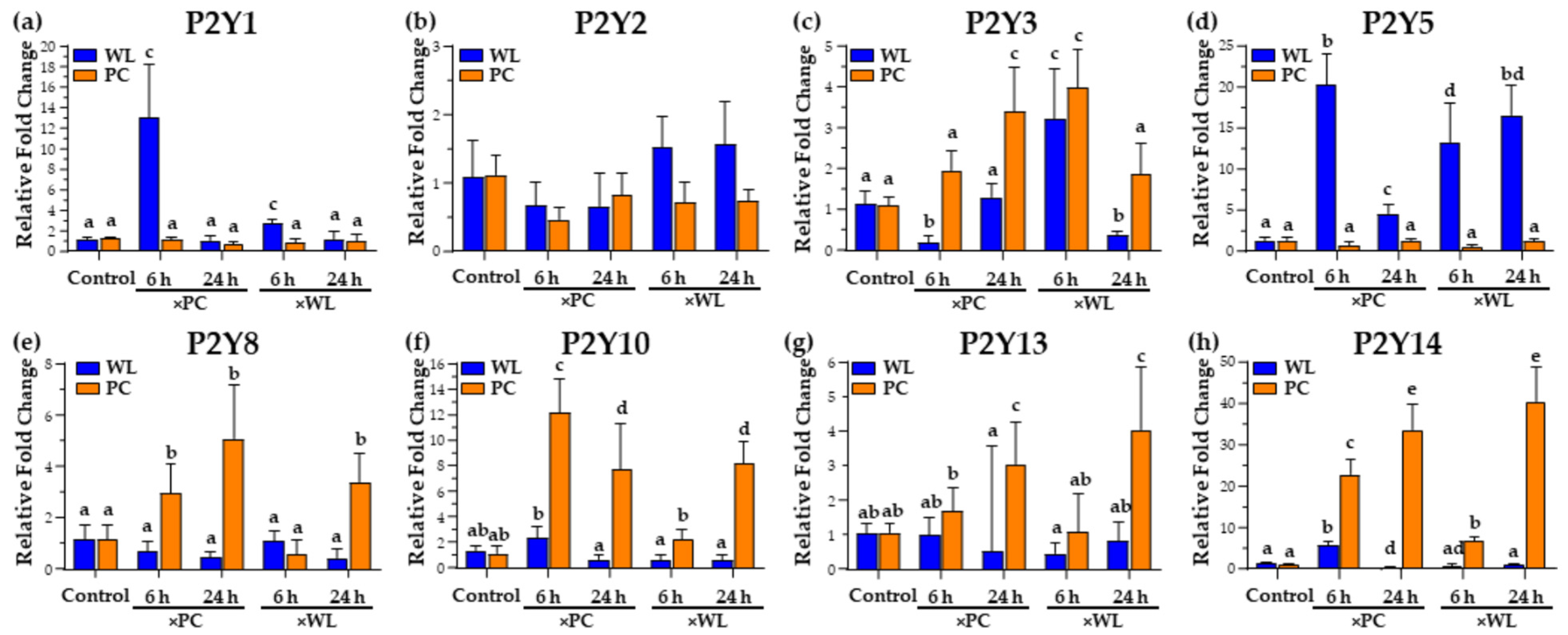 Viruses 16 01130 g006