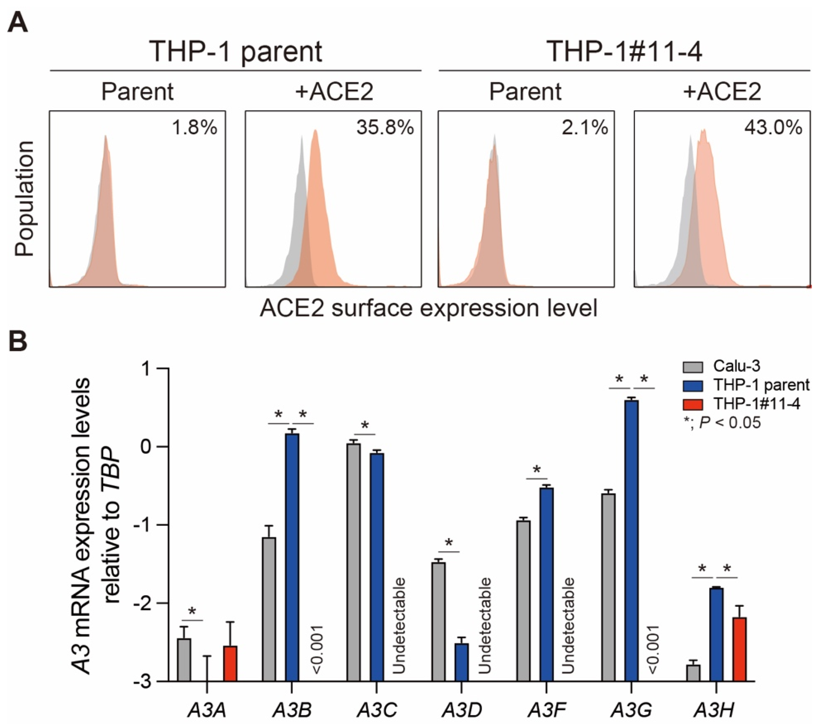 Viruses 16 01141 g001 Viruses 16 01141 g001