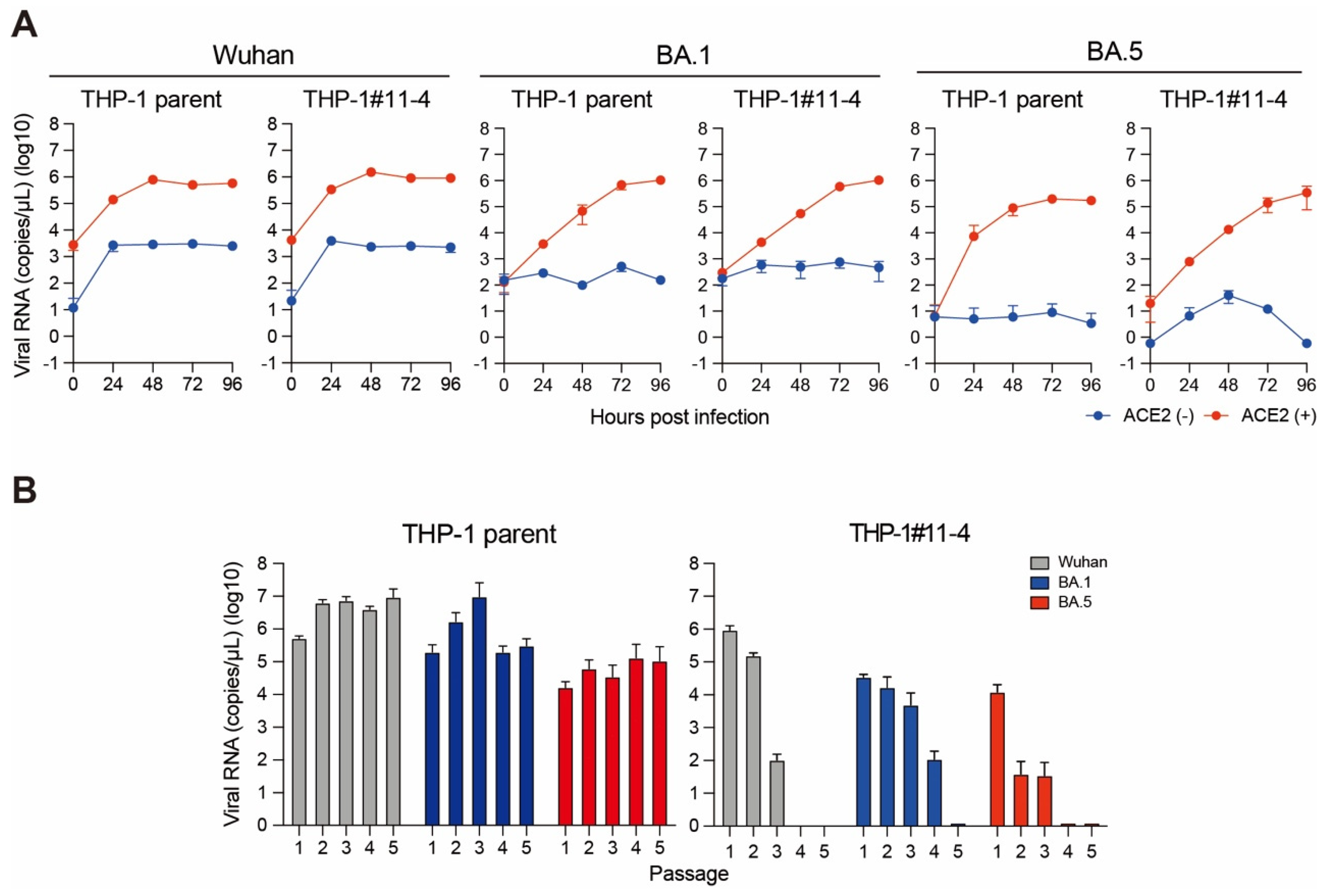 Viruses 16 01141 g002 Viruses 16 01141 g002