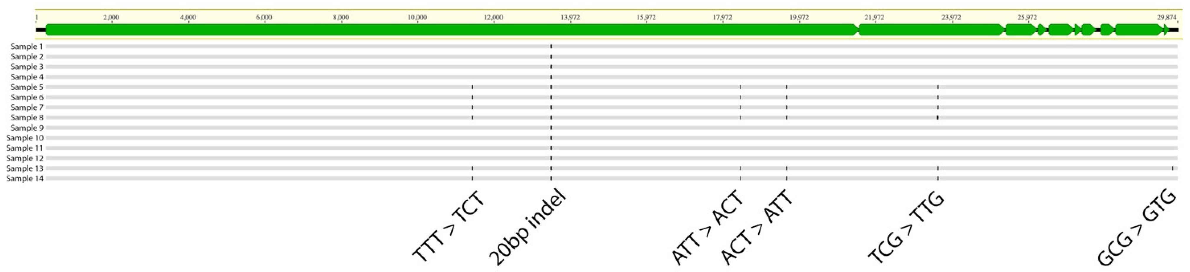 Viruses 16 01141 g004 Viruses 16 01141 g004