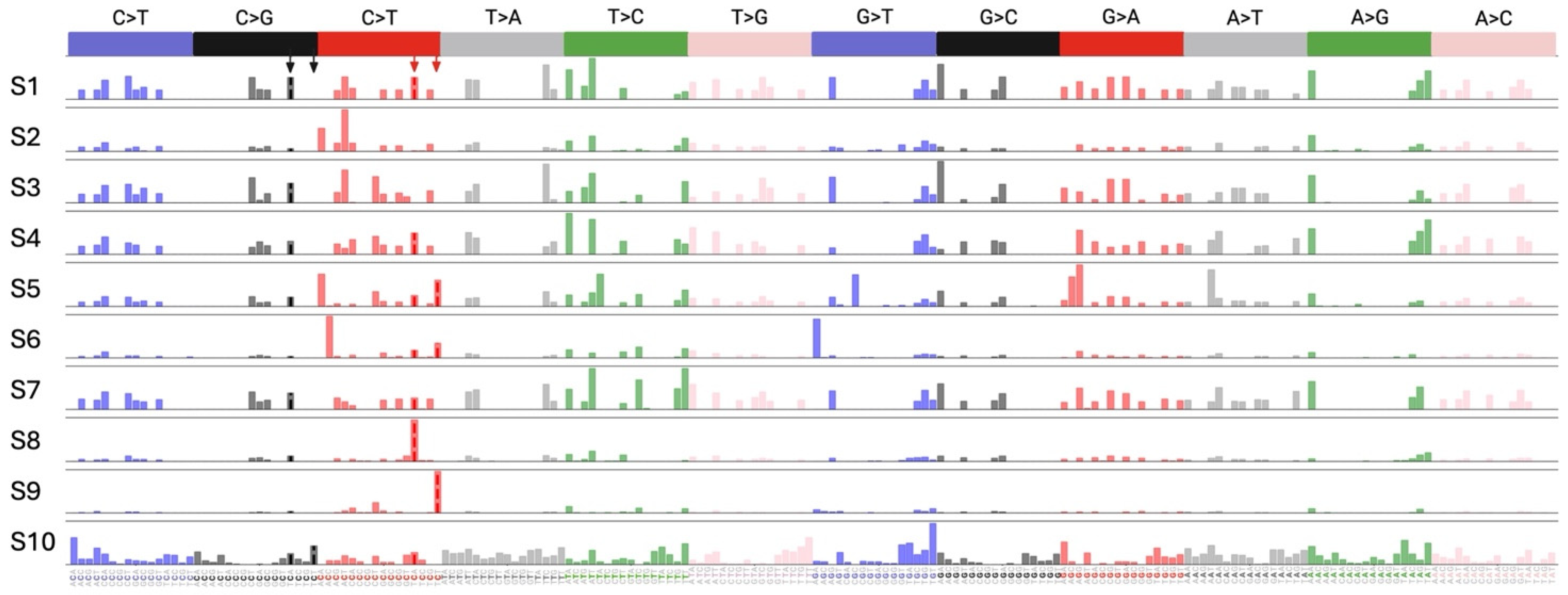 Viruses 16 01141 g005 Viruses 16 01141 g005