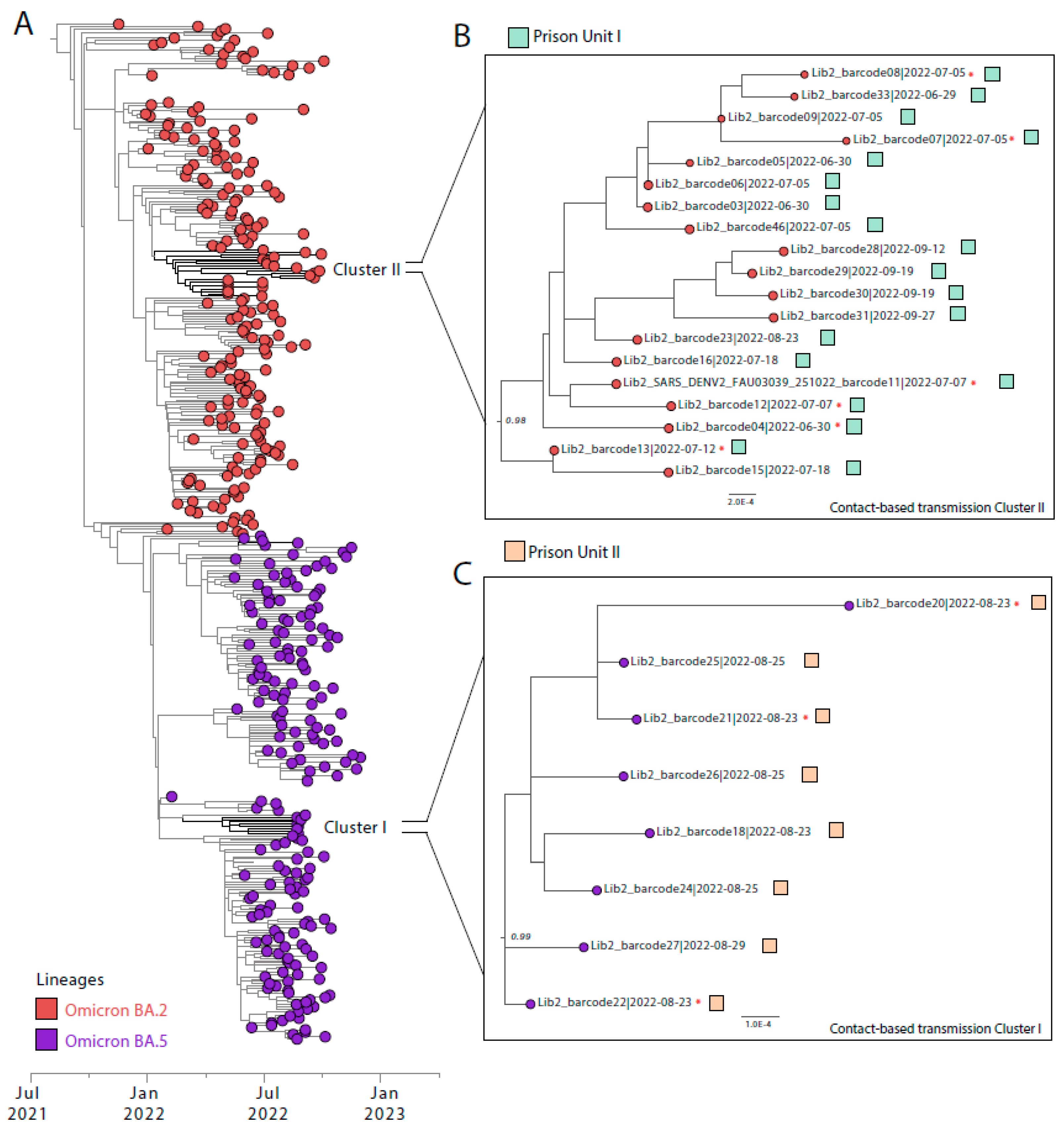 Viruses 16 01143 g003