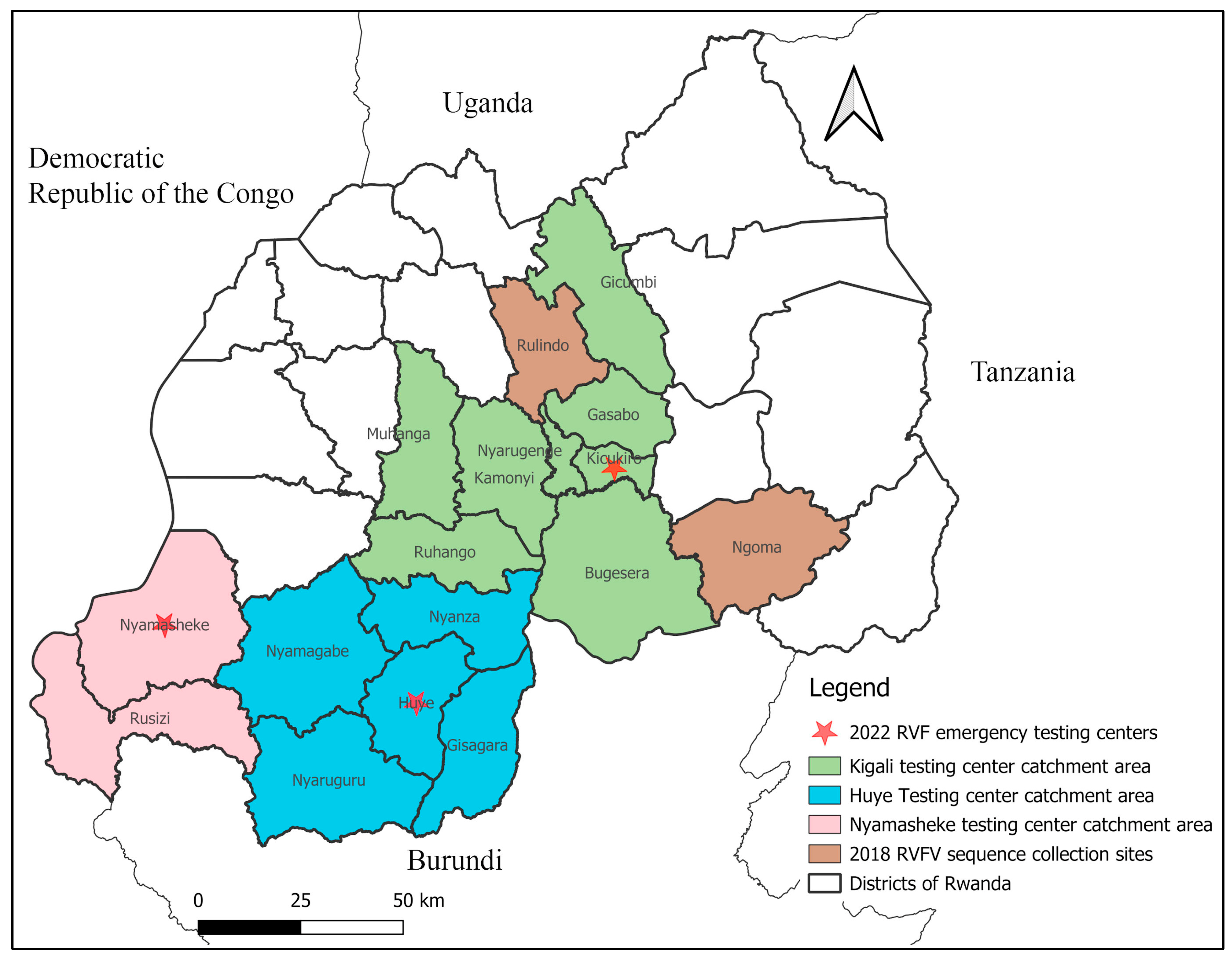 Viruses 16 01148 g001