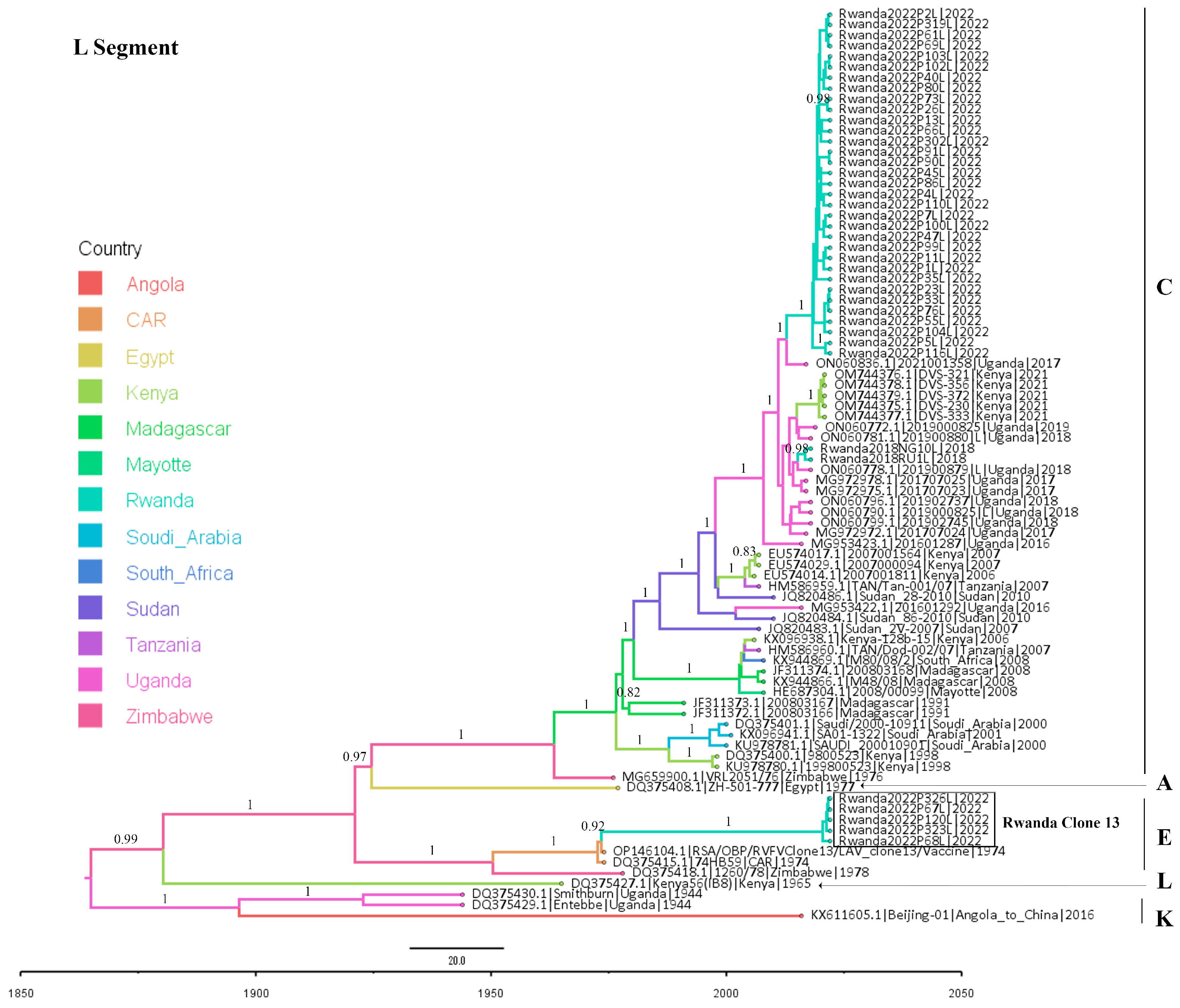 Viruses 16 01148 g002