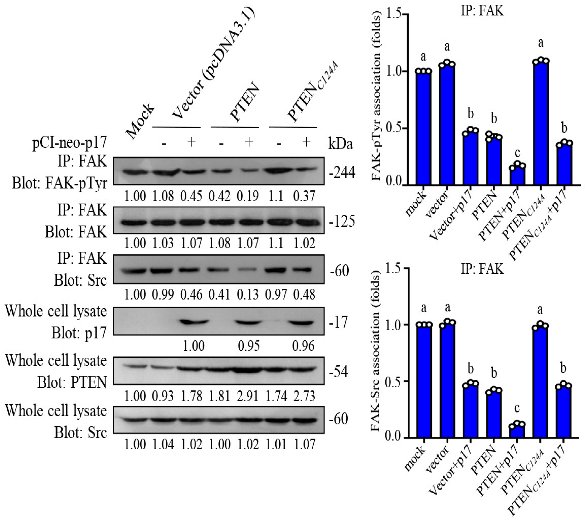 Viruses 16 01153 g005 Viruses 16 01153 g005