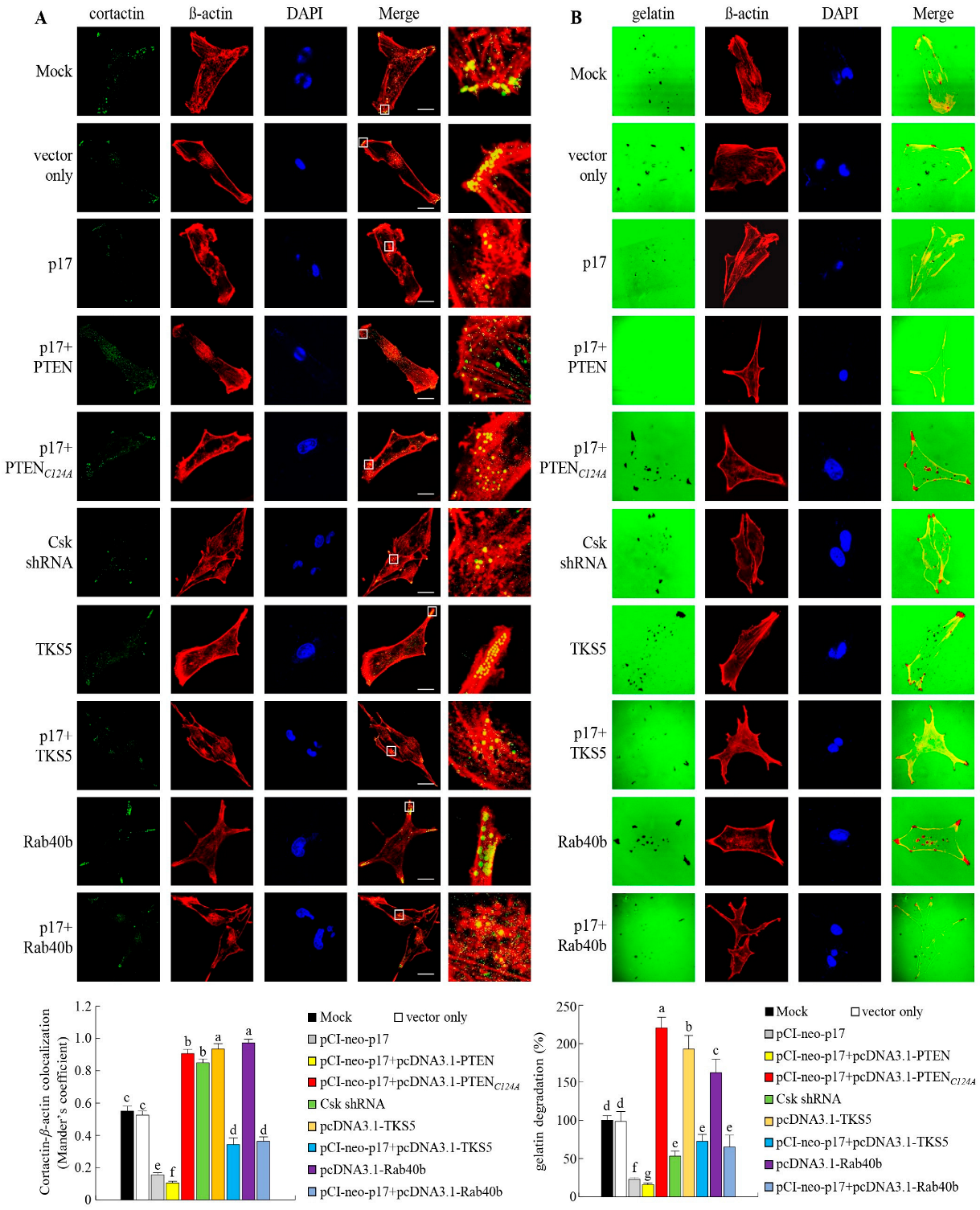 Viruses 16 01153 g007 Viruses 16 01153 g007