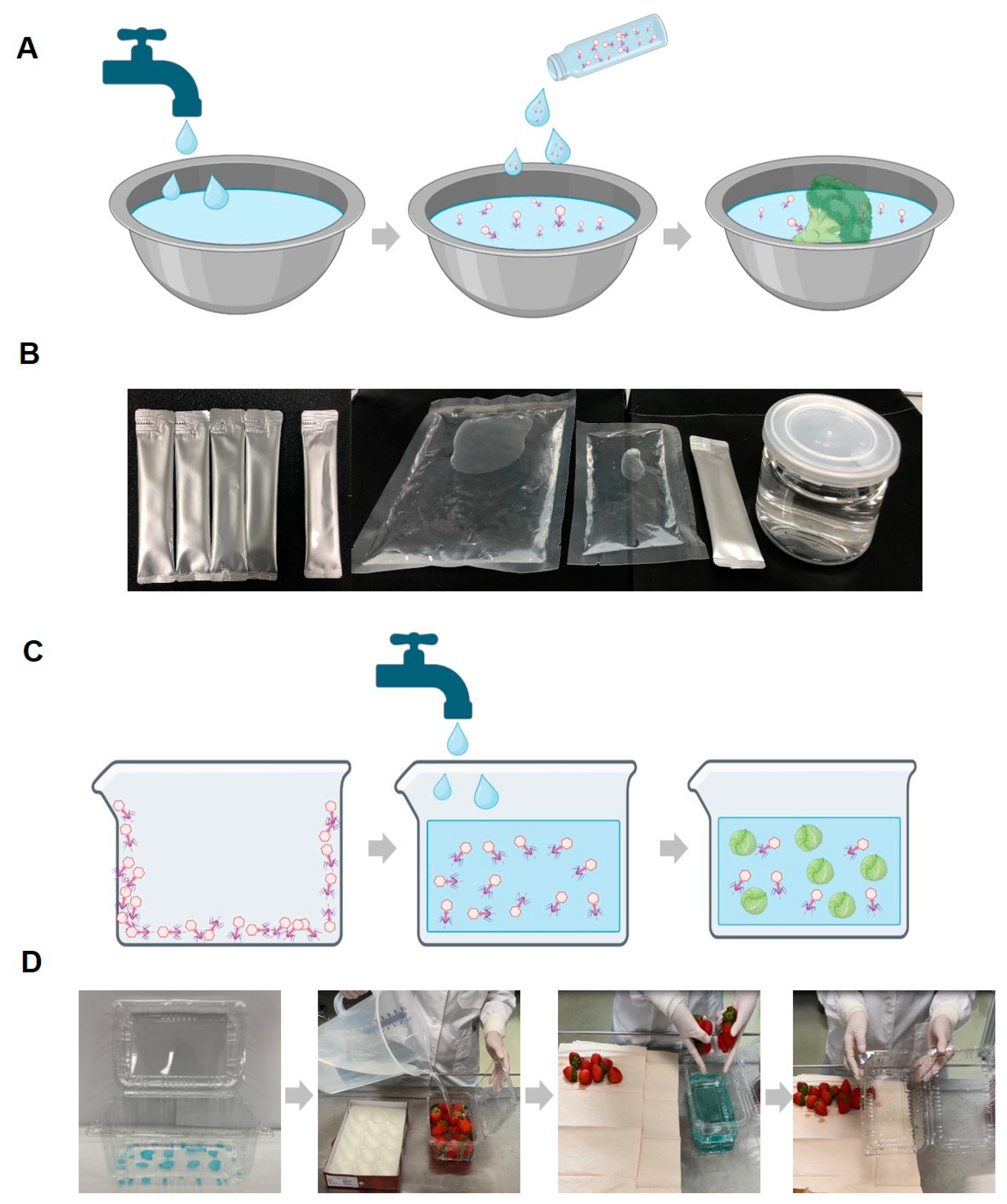 Viruses 16 01155 g008