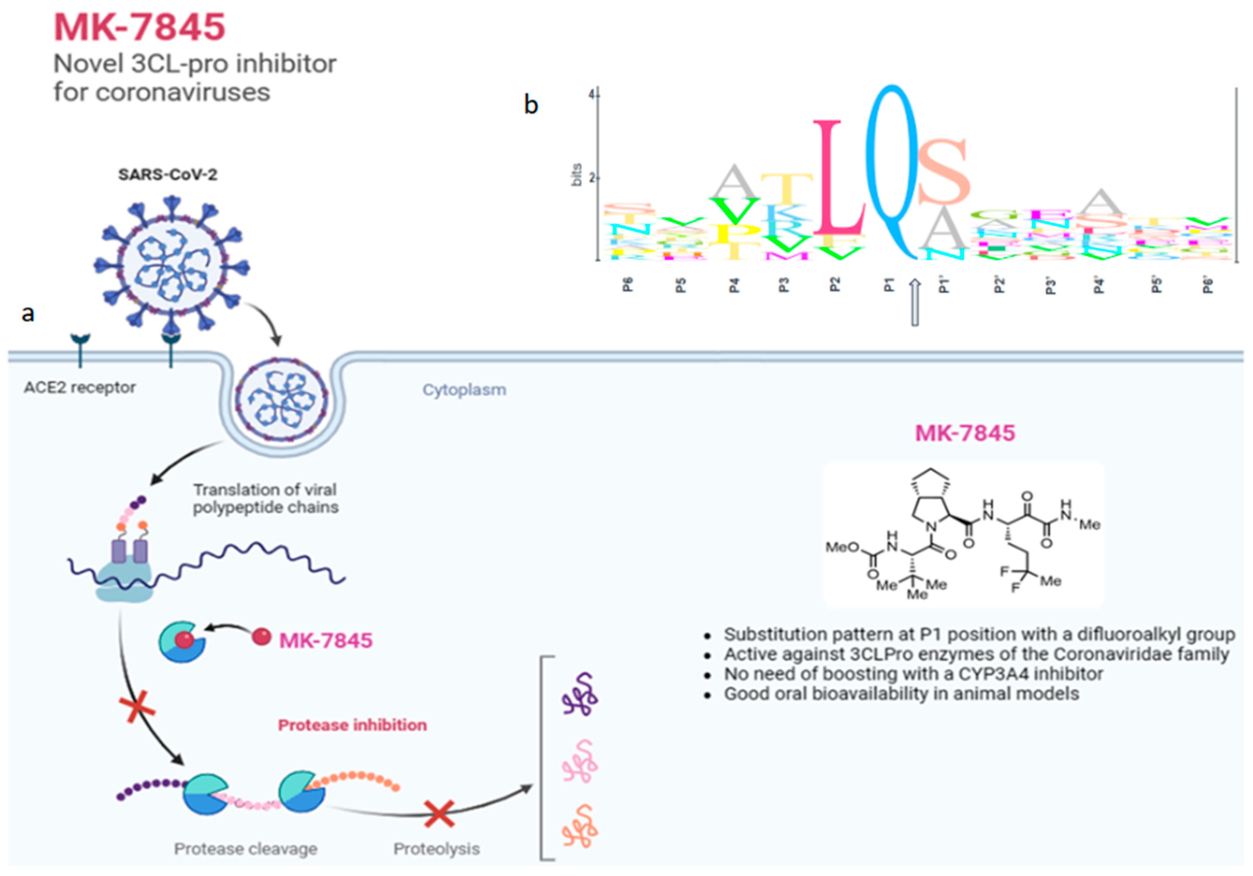 Viruses 16 01158 g001