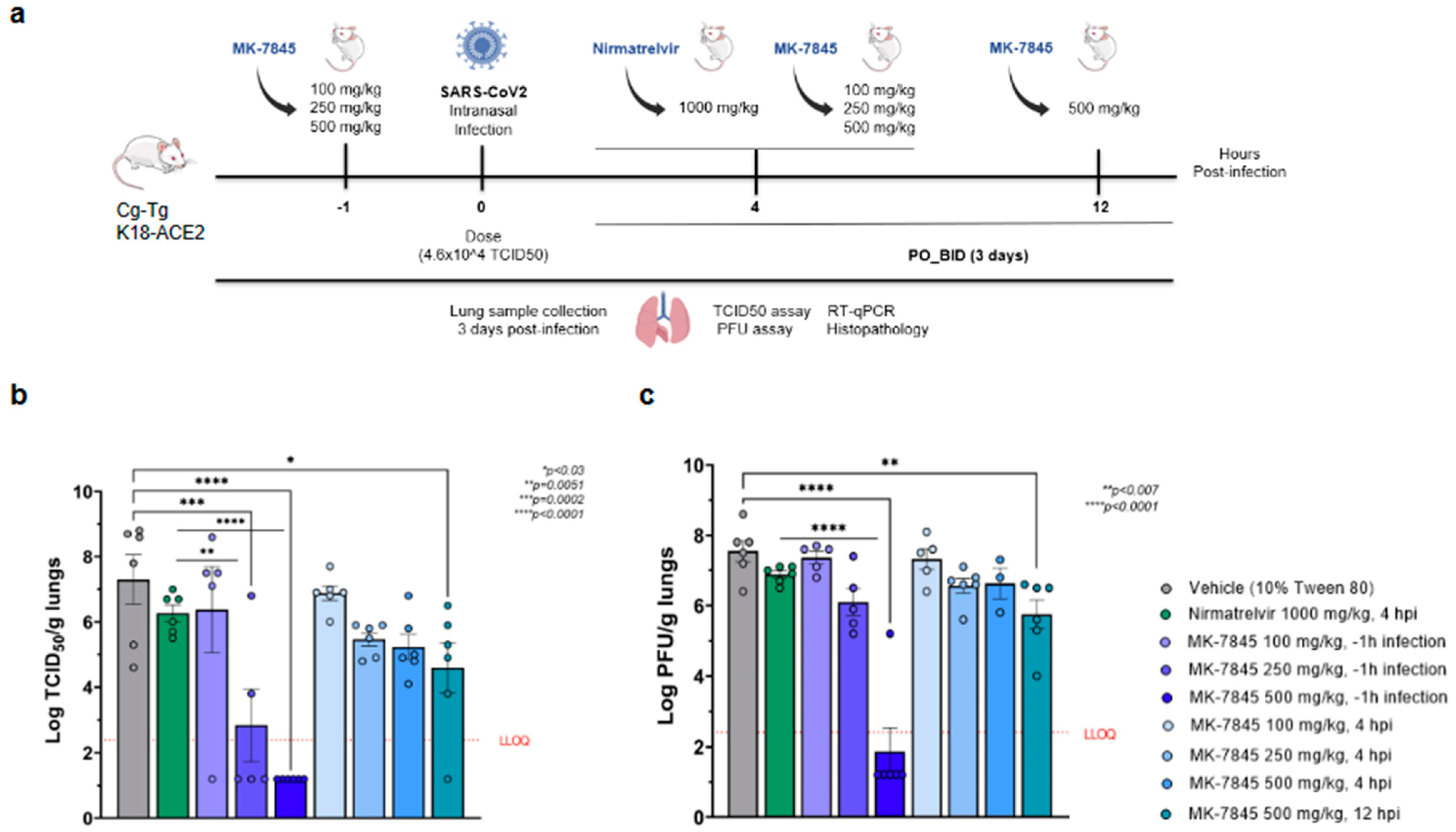 Viruses 16 01158 g003