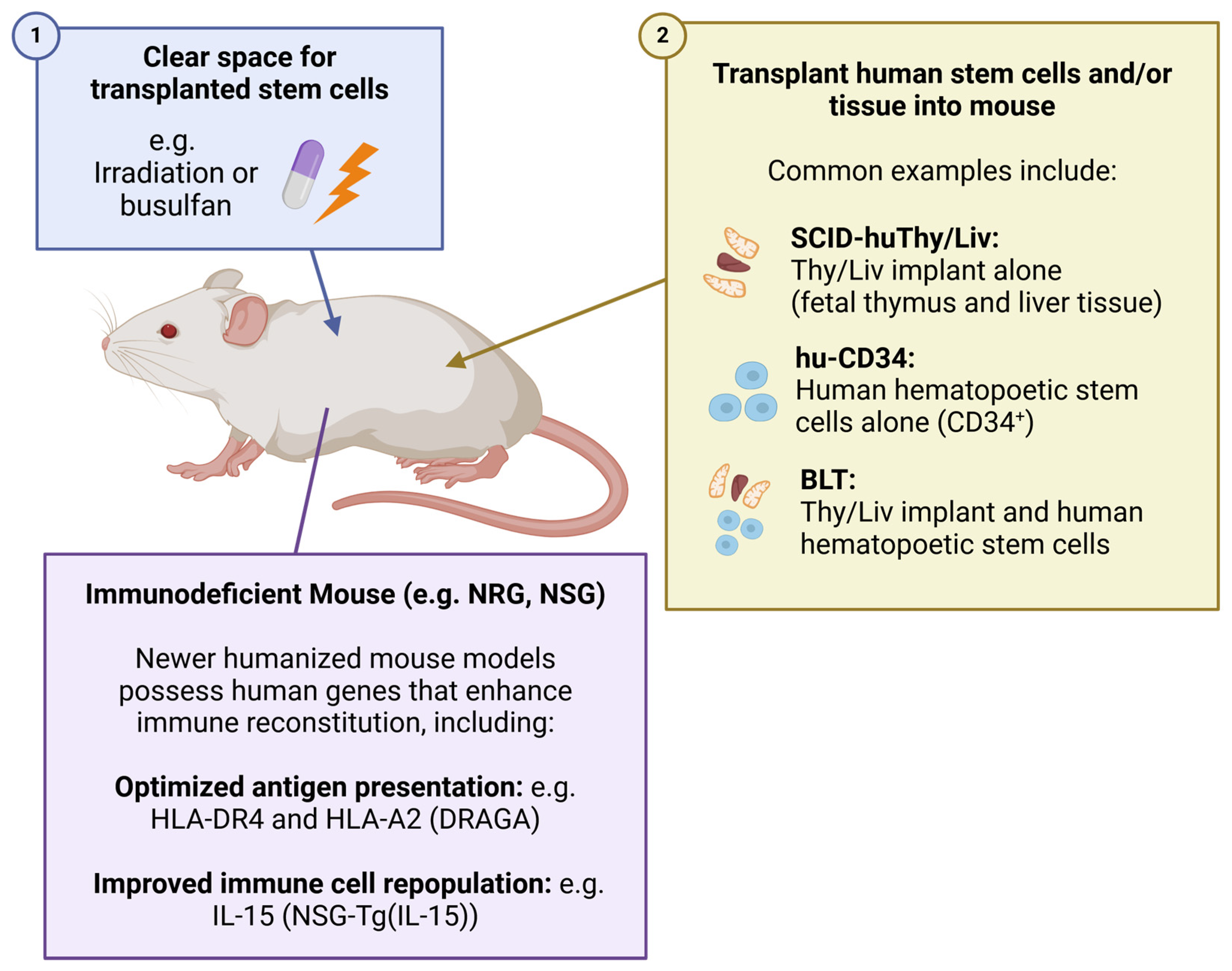 Viruses 16 01163 g003 Viruses 16 01163 g003